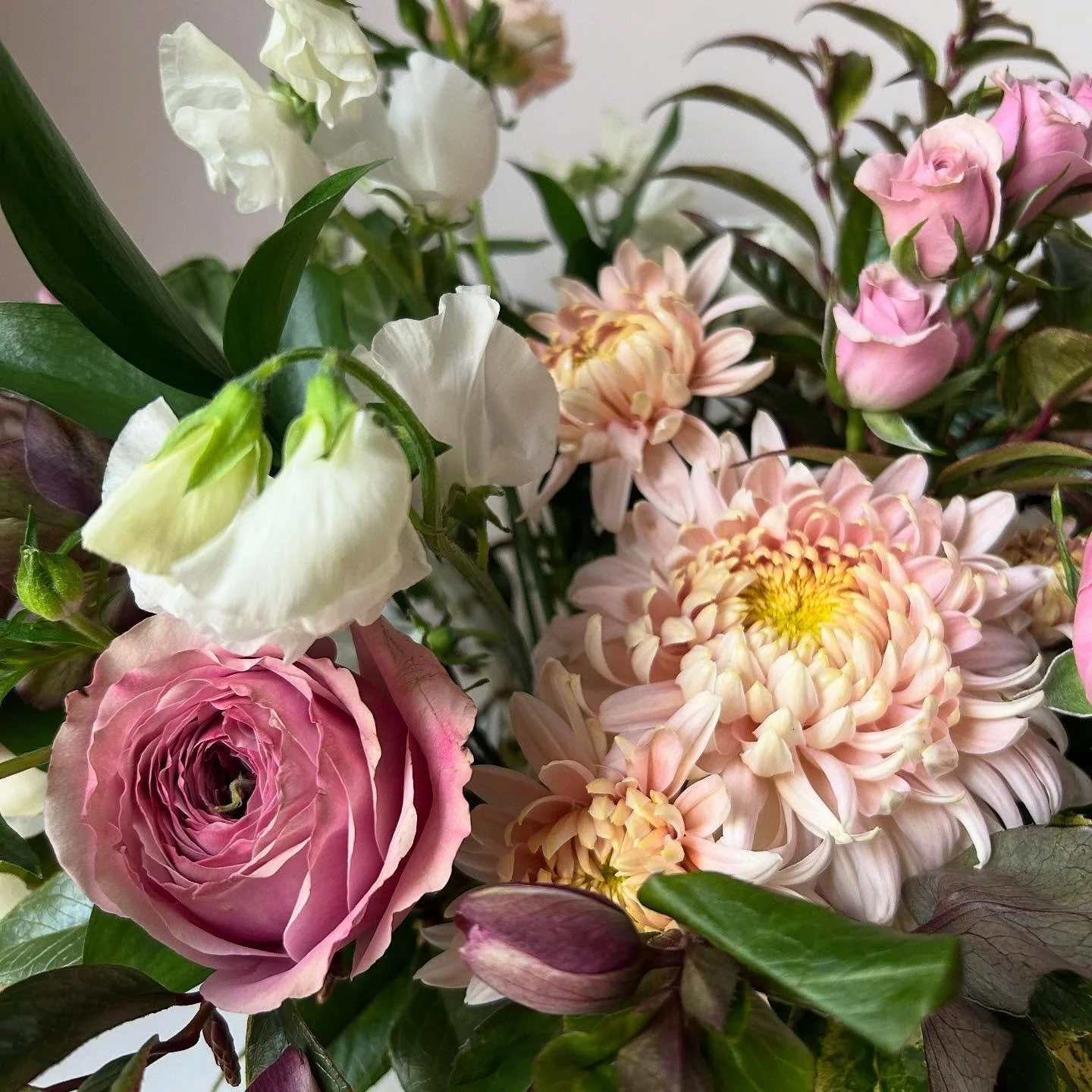 &lsquo;Peonikiss&rsquo; Garden Roses, &lsquo;Ariadne&rsquo; Butterfly Ranunculus, &lsquo;Yuki&rsquo; Sweet Peas, &lsquo;Leila&rsquo; Spray Roses, Mammoth Pink Helleborus and Maine grown &lsquo;Blush Strokes&rsquo; Chrysanthemum grown by @ethelsmaine 