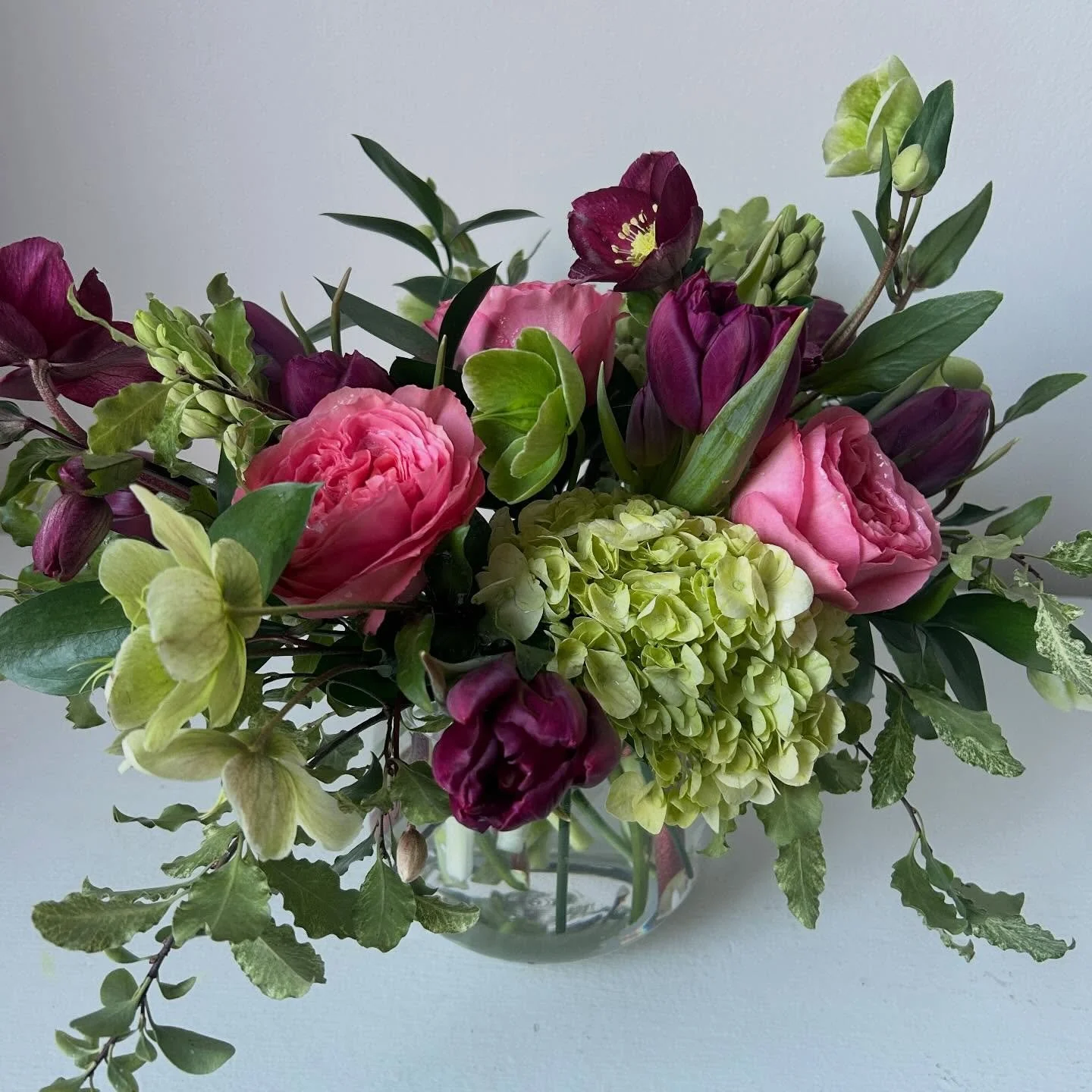 It&rsquo;s good to see you again, &lsquo;Allison Bradley&rsquo;.

&lsquo;Allison Bradley&rsquo; Double Tulips
&lsquo;Pink Xpression&rsquo; Roses
&lsquo;Winter Bells&rsquo; and &lsquo;Aarendelle Sara Red&rsquo; Hellebore
&lsquo;Mojito&rsquo; Hydrangea