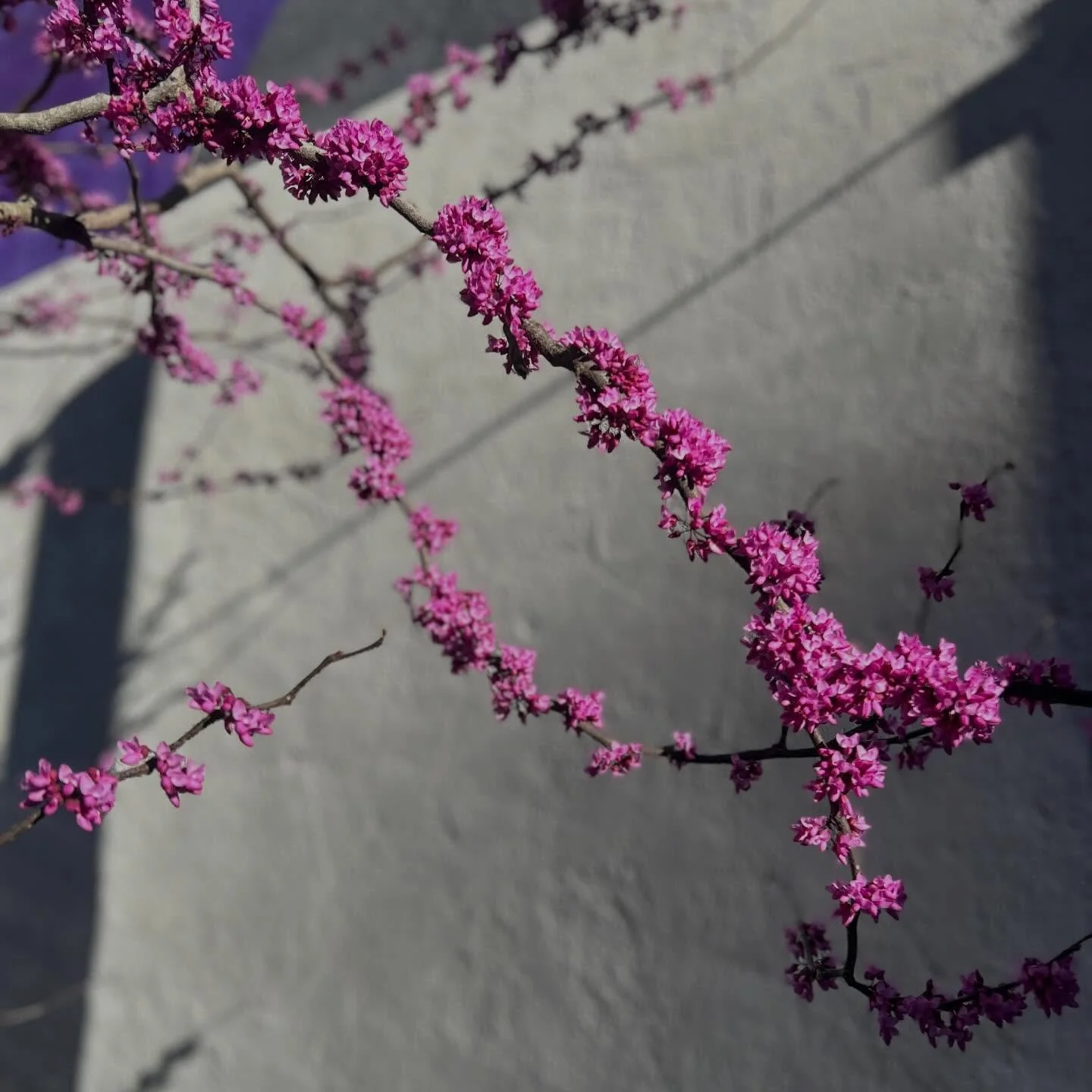 It&rsquo;s always so good to have a change of scenery- especially in March- when spring in Maine still feels so far away.