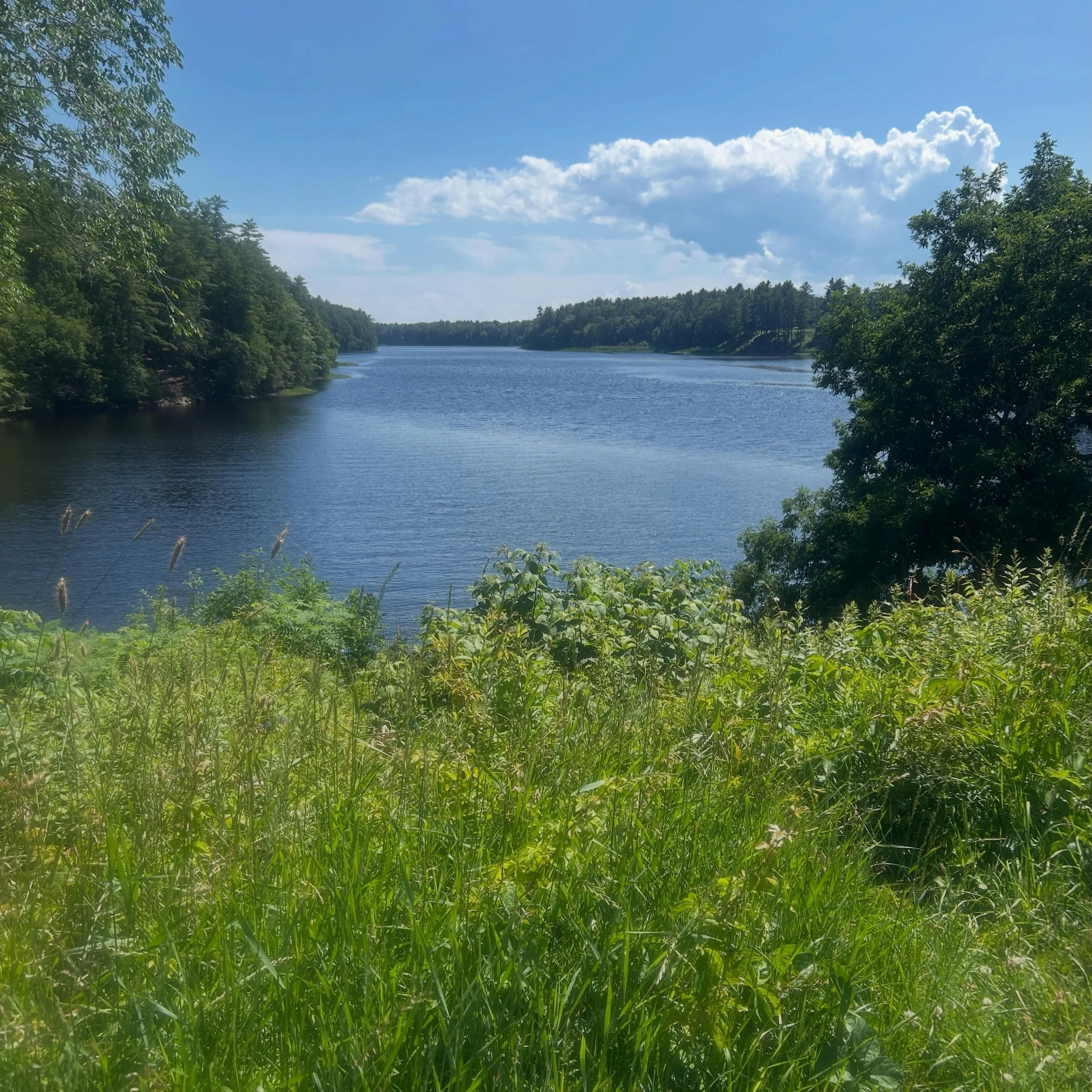 A perfect Sunday revisiting one of my favorite places in Maine.
