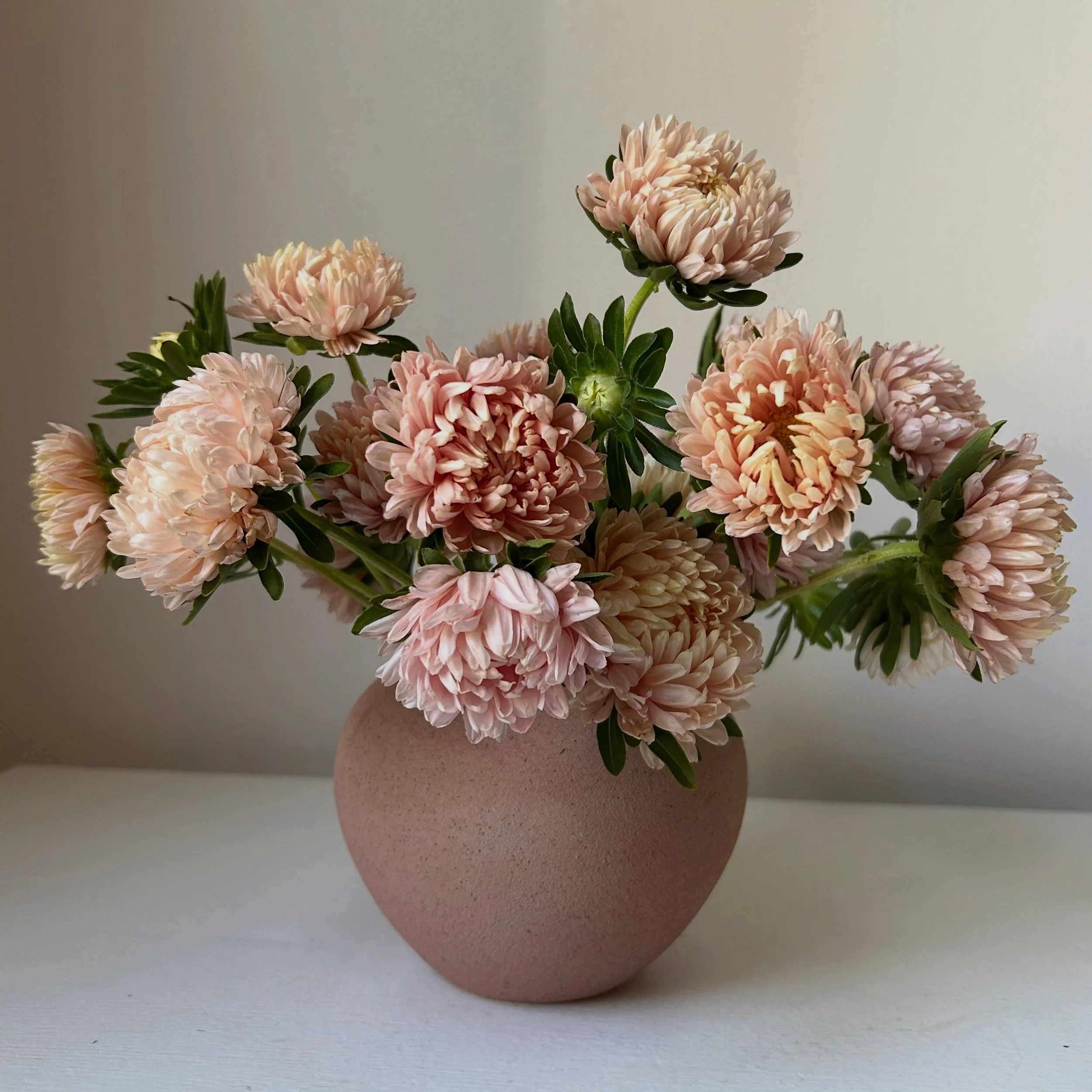 I love the simplicity of one flower variety in a vase, especially when it&rsquo;s a heavily textured flower that tends to steal the show. 

China Asters grown by @kvitkafarm via @maineflowercollective
