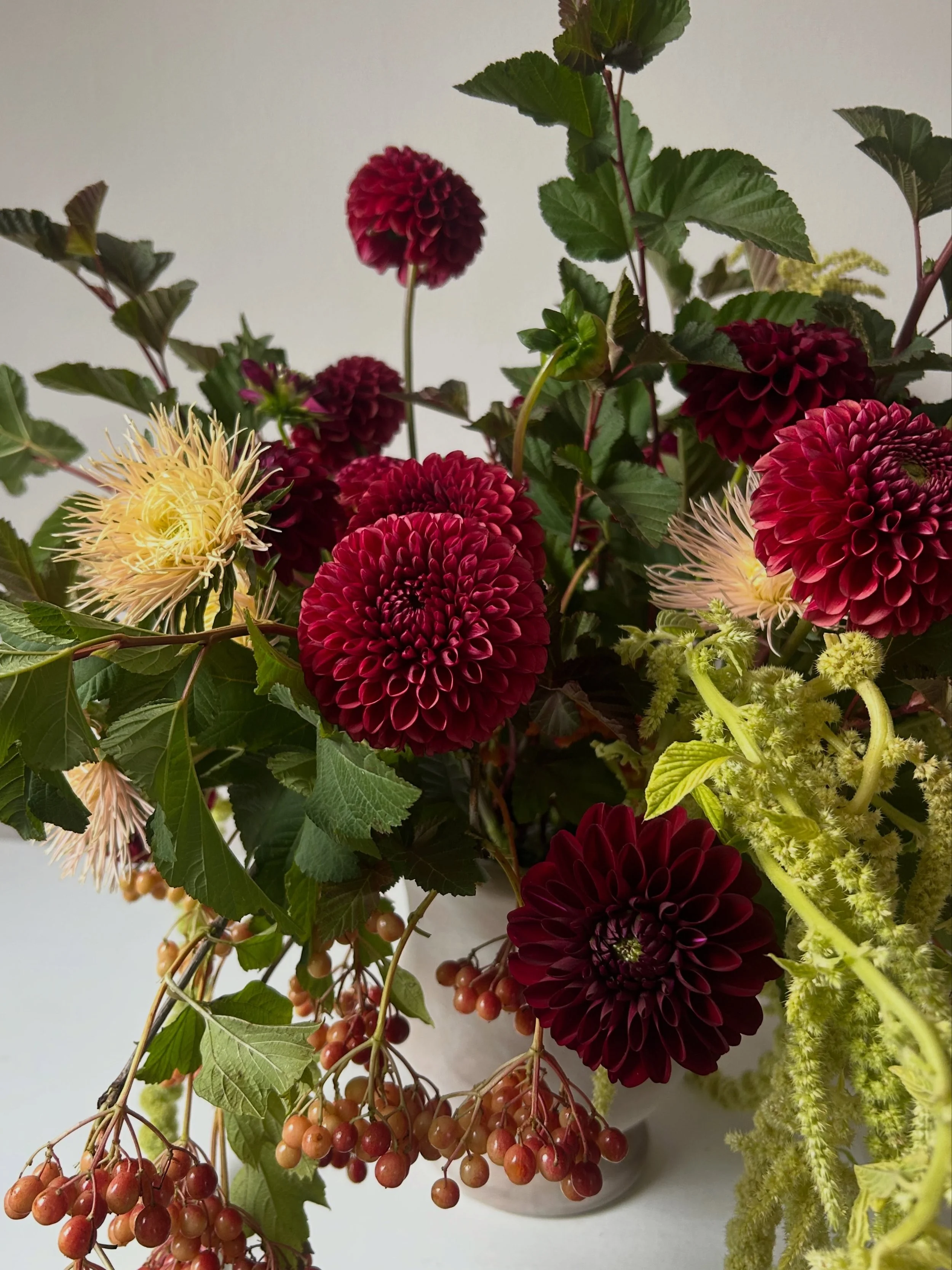This is the time of year when locally grown flowers are at their best. 

Dahlia &lsquo;Brown Sugar&rsquo; from @bumblerootorganicfarm 
Dahlia &lsquo;Karma Fox Maroon&rsquo; from @broadturn_farm 
Viburnum opulus var. americanum from @chasesdaily 
Amar