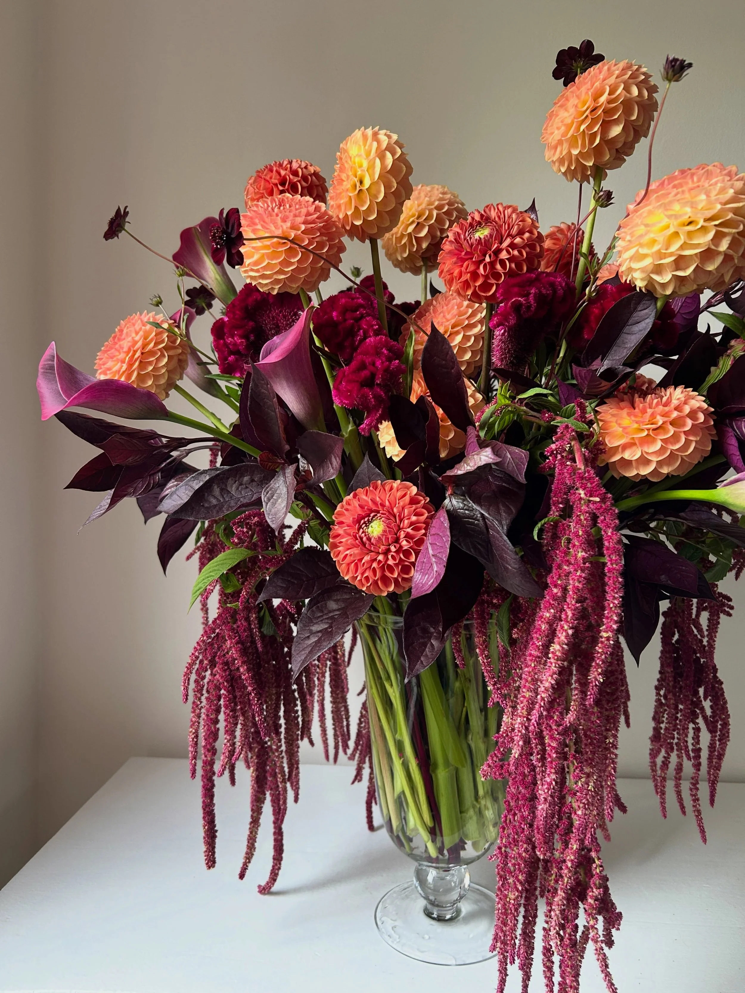 All of this goodness was grown in Maine and sourced via @maineflowercollective 

Alternanthera from @lazyacresfarm 
Zantedeschia from @carolyn.snell 
Celosia &lsquo;Cramer&rsquo;s Burgundy&rsquo; and Amaranthus from @newbeatfarm 
Cosmos &lsquo;New Ch
