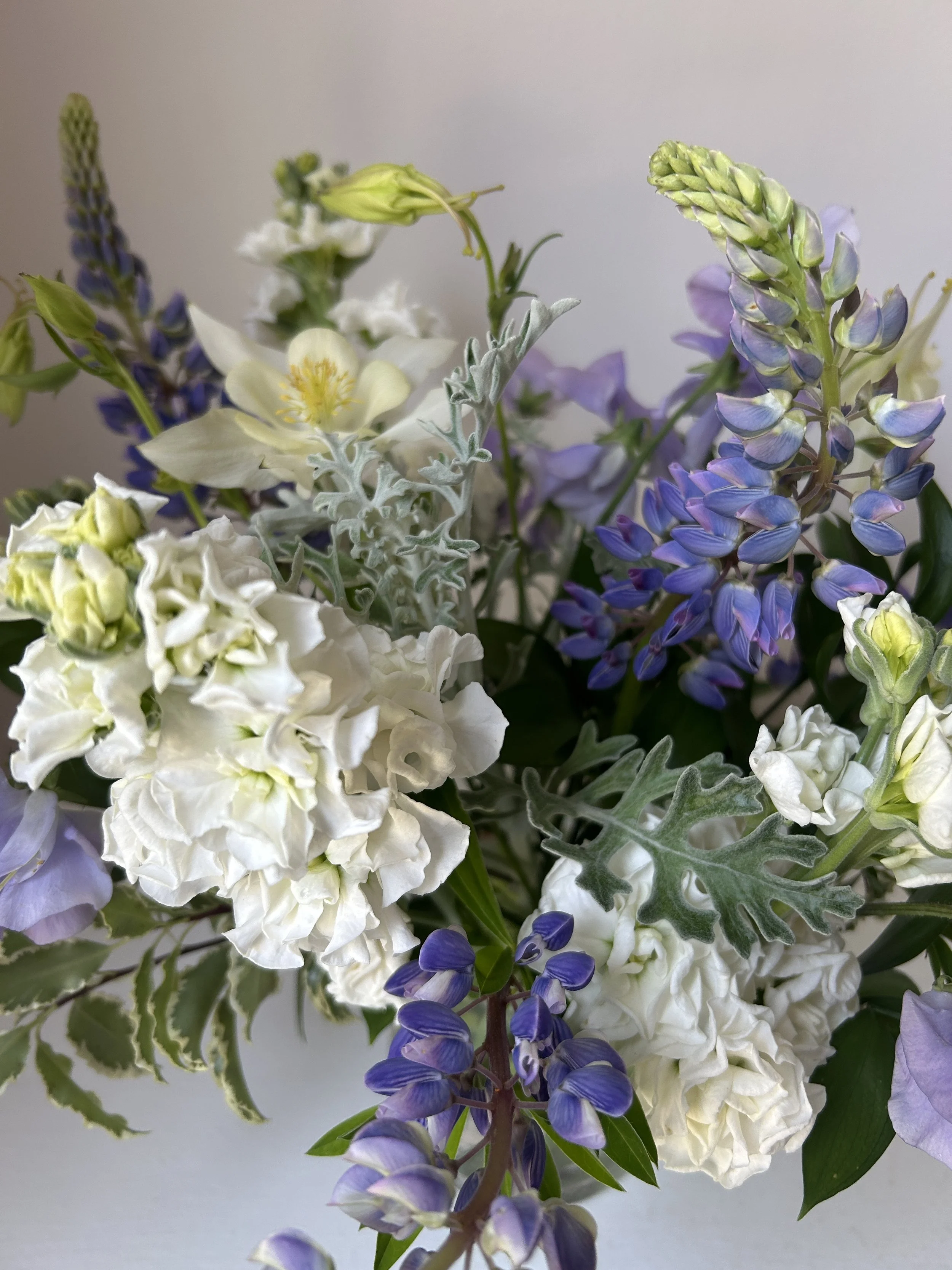 Celadon Floral is your Yarmouth, Maine florist.