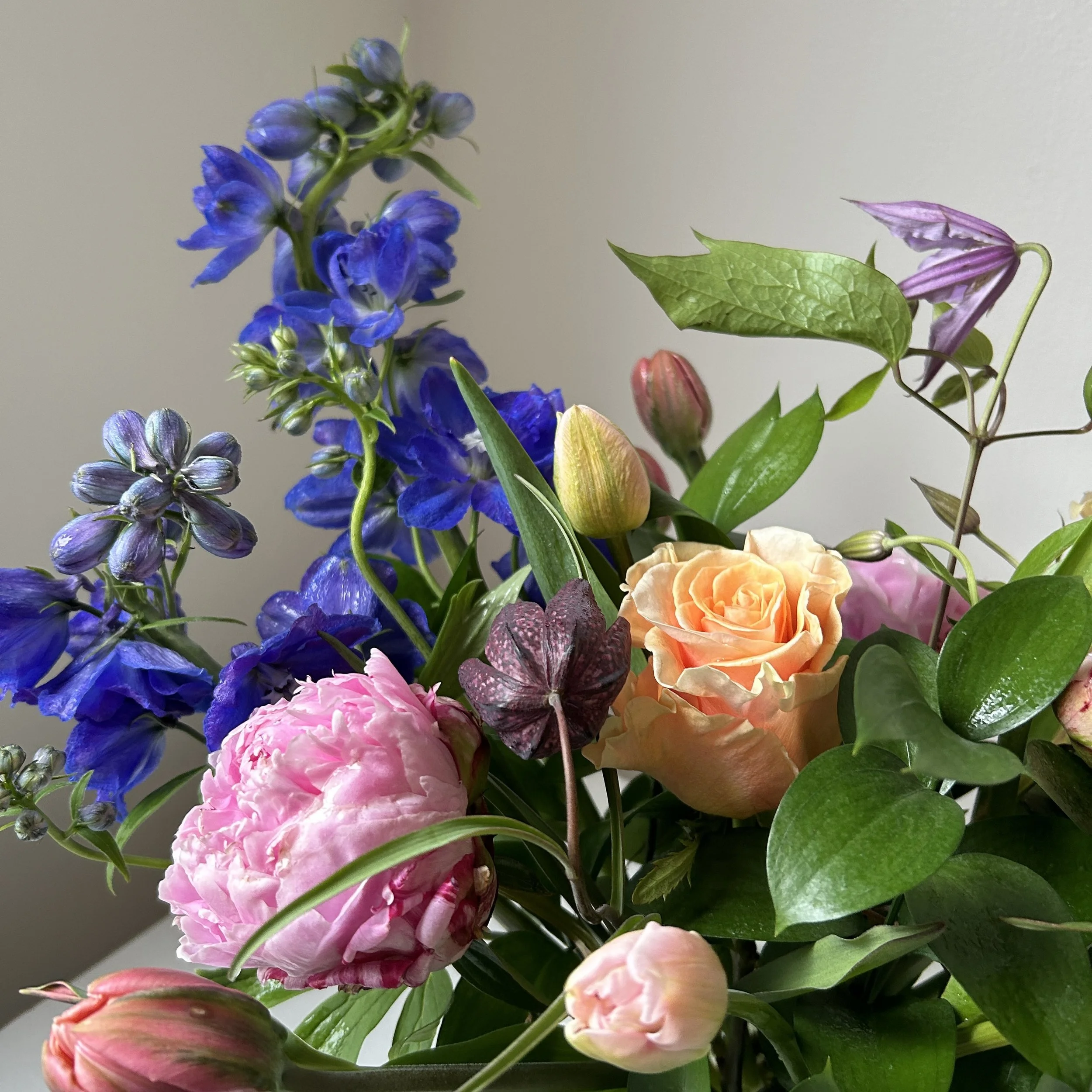 Celadon Floral is your Orr's Island, Harpswell, Maine florist.