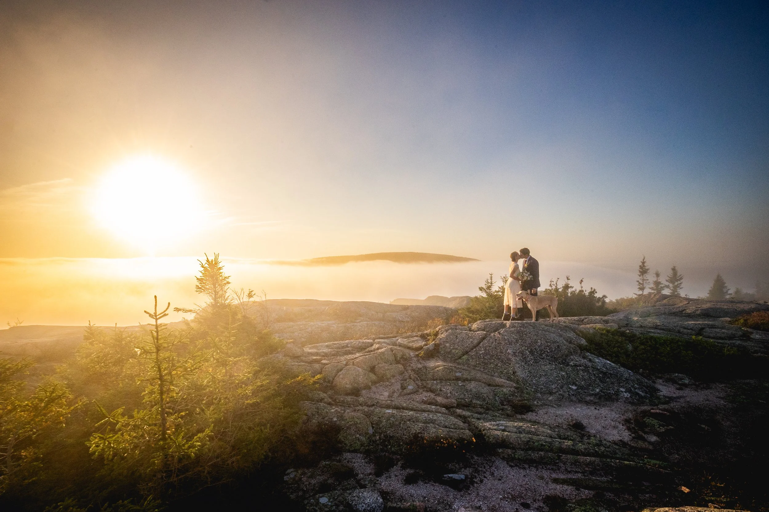 Maine wedding elopement at Acadia National Park by Celadon Floral