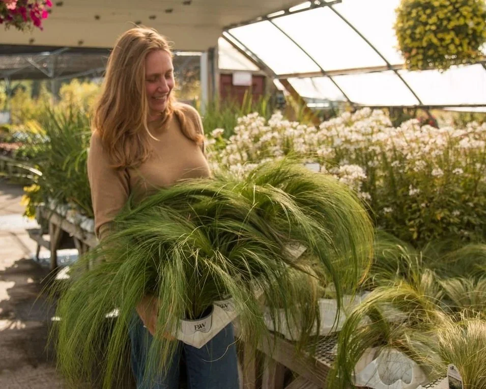 Eliza Gray of Celadon Floral holds a tray of annual grasses at a Maine nursery.