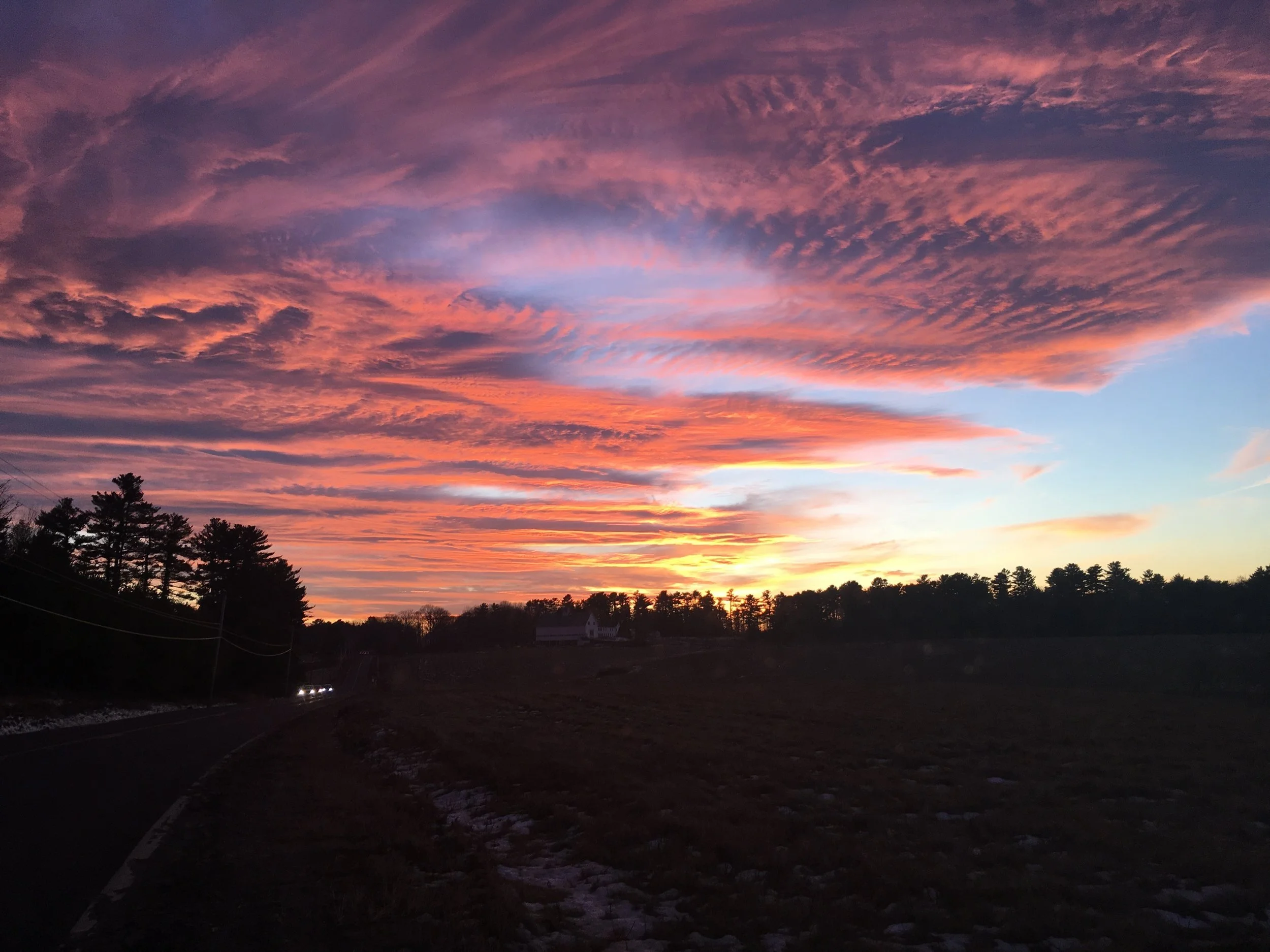 Brunswick, Maine florist delivering unique and sophisticated