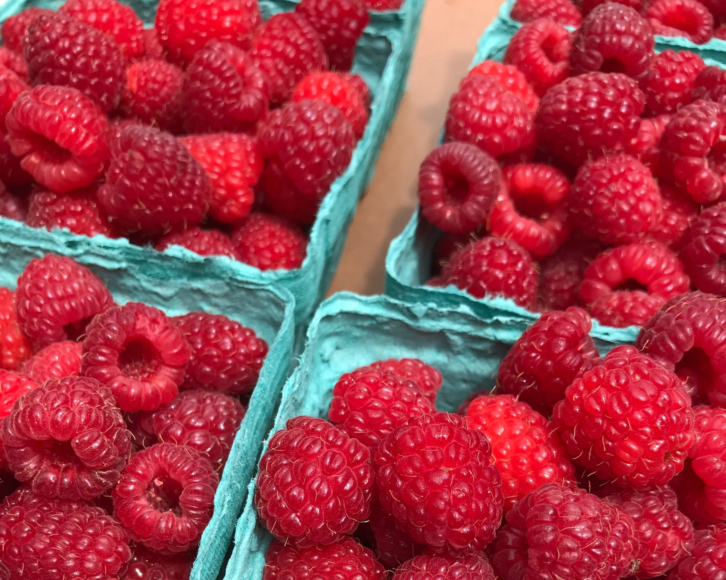 Celadon Floral is your Bowdoinham, Maine Florist