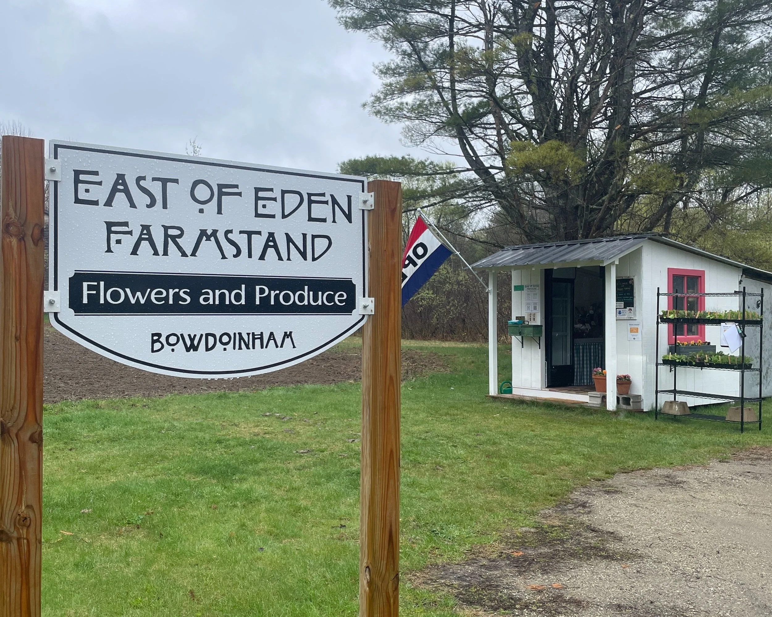 Celadon Floral is your Bowdoinham, Maine Florist