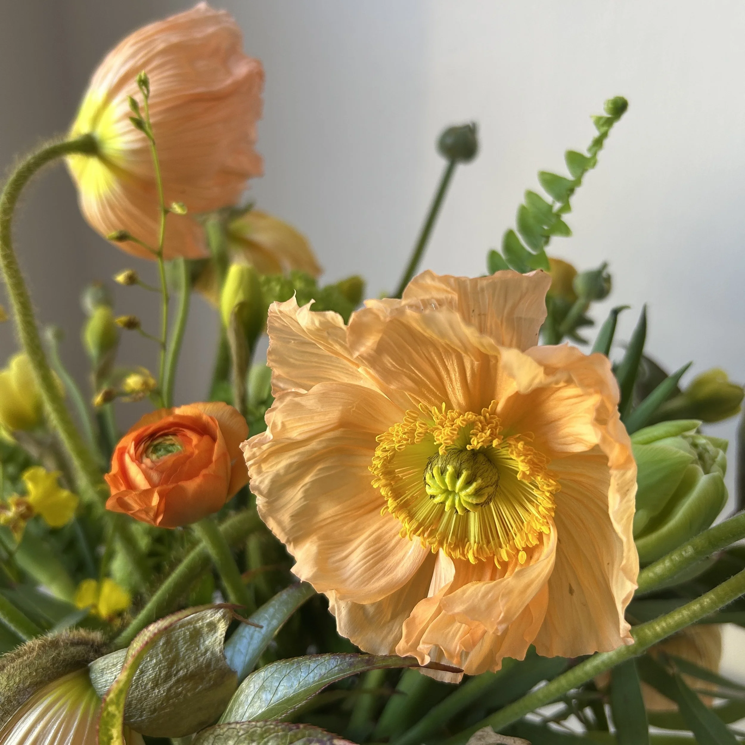 Celadon Floral is your Cumberland, Maine florist.