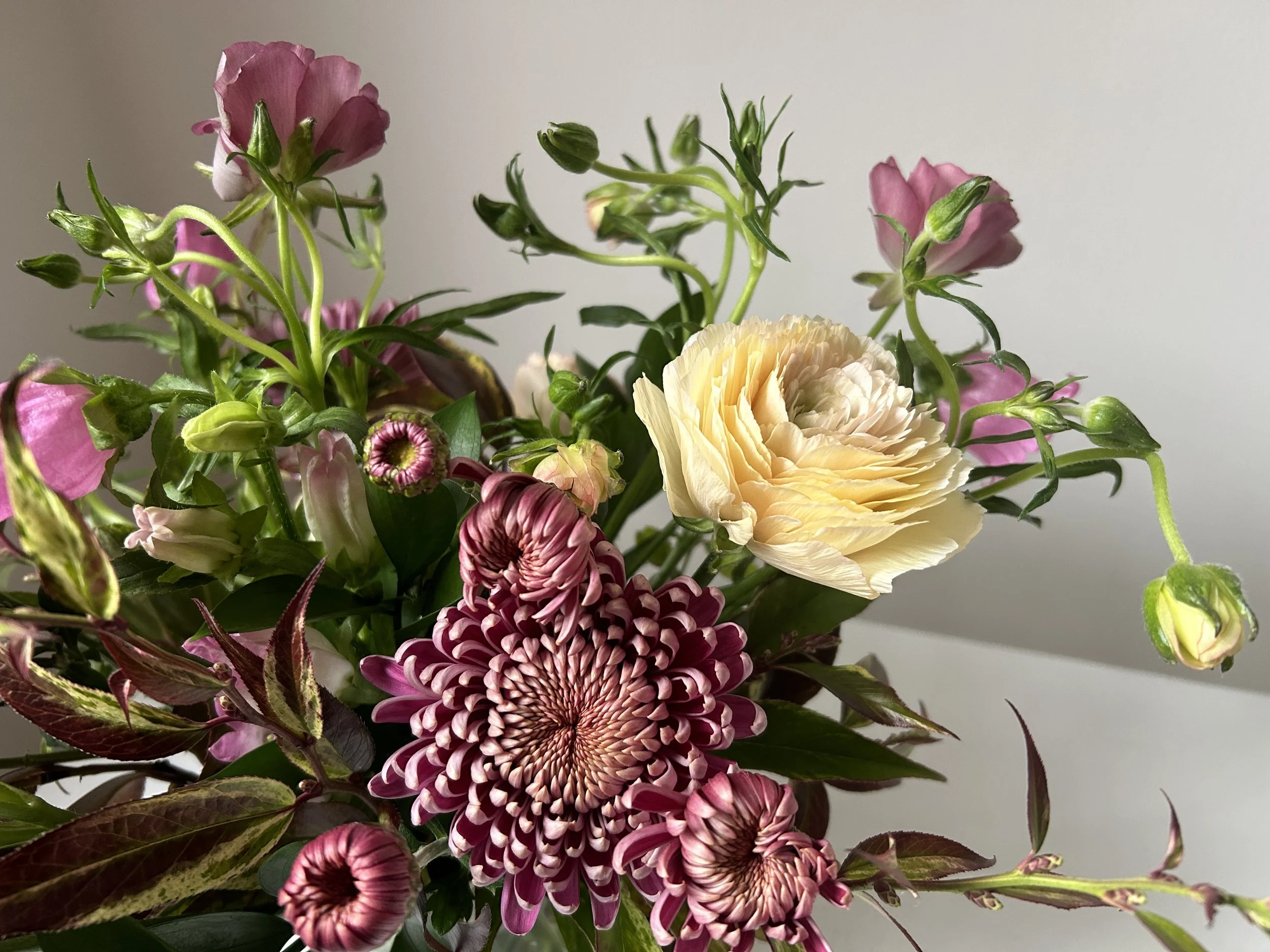 Celadon Floral is your Durham, Maine florist.