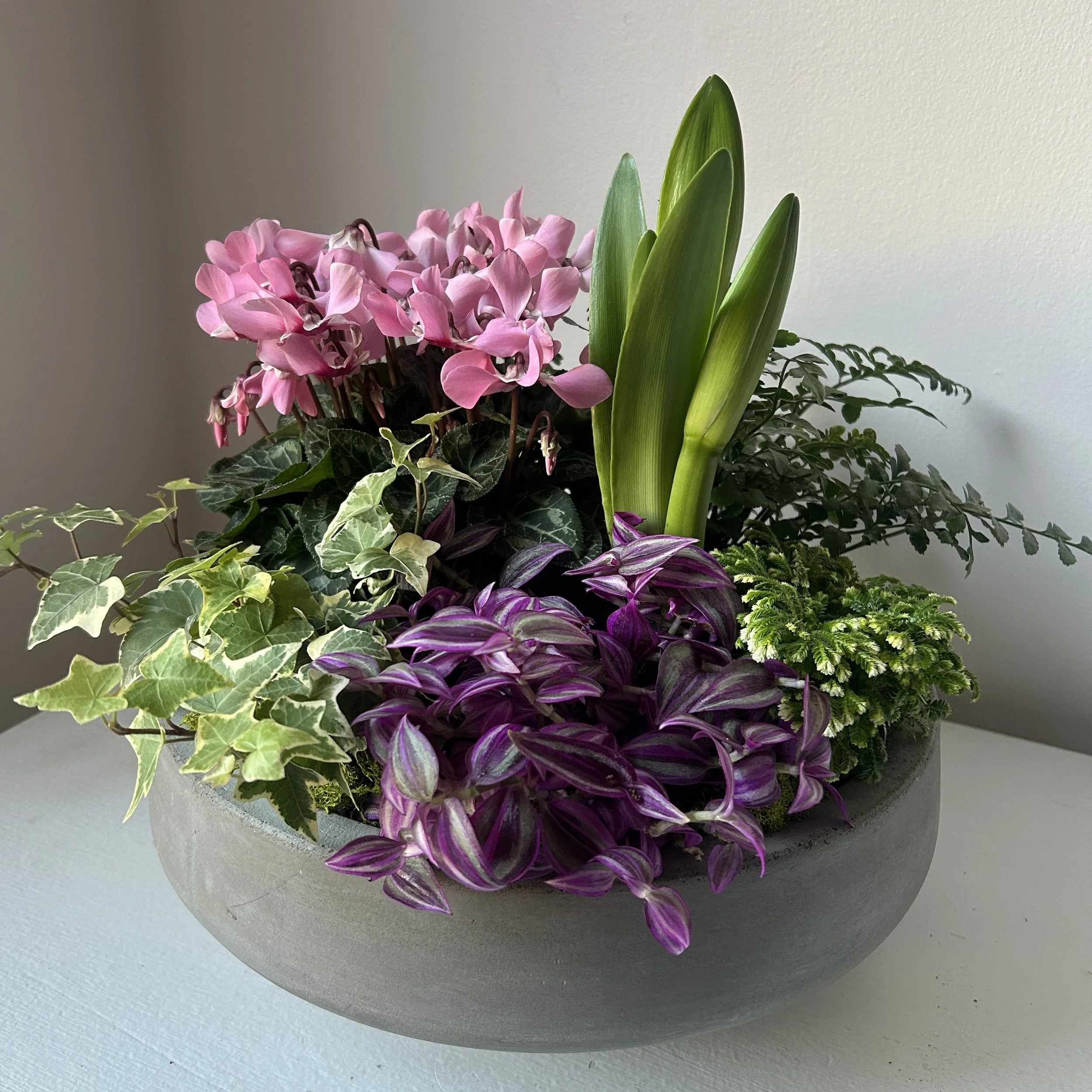 Large dish garden with colorful flowering plants designed by Maine Florist Celadon Floral