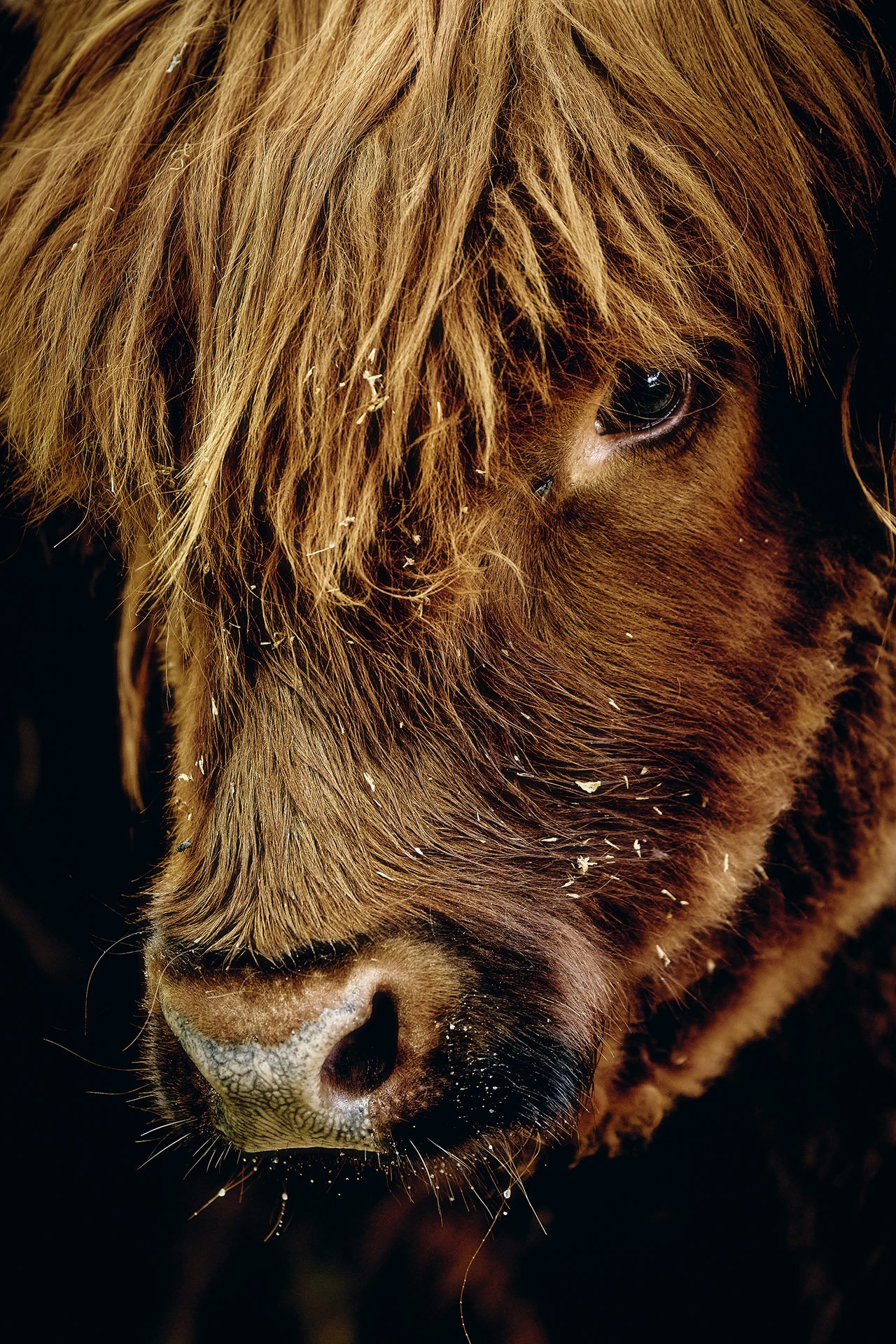 _S0A5845_ishøj dyrepark 2-kopi 2.jpg