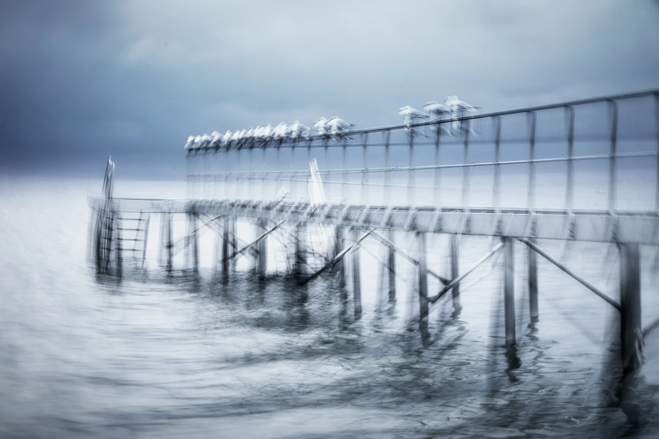 X_S0A7853_køge strand -kopi.jpg