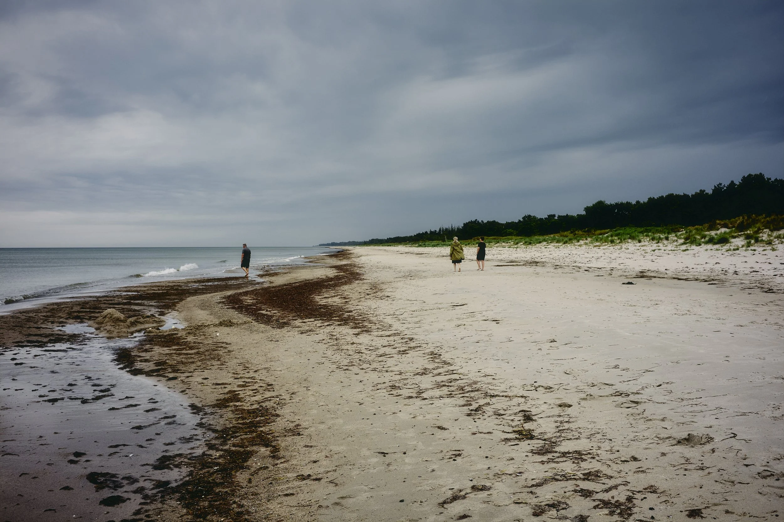 _MG_1316_marielyst 1-kopi.jpg