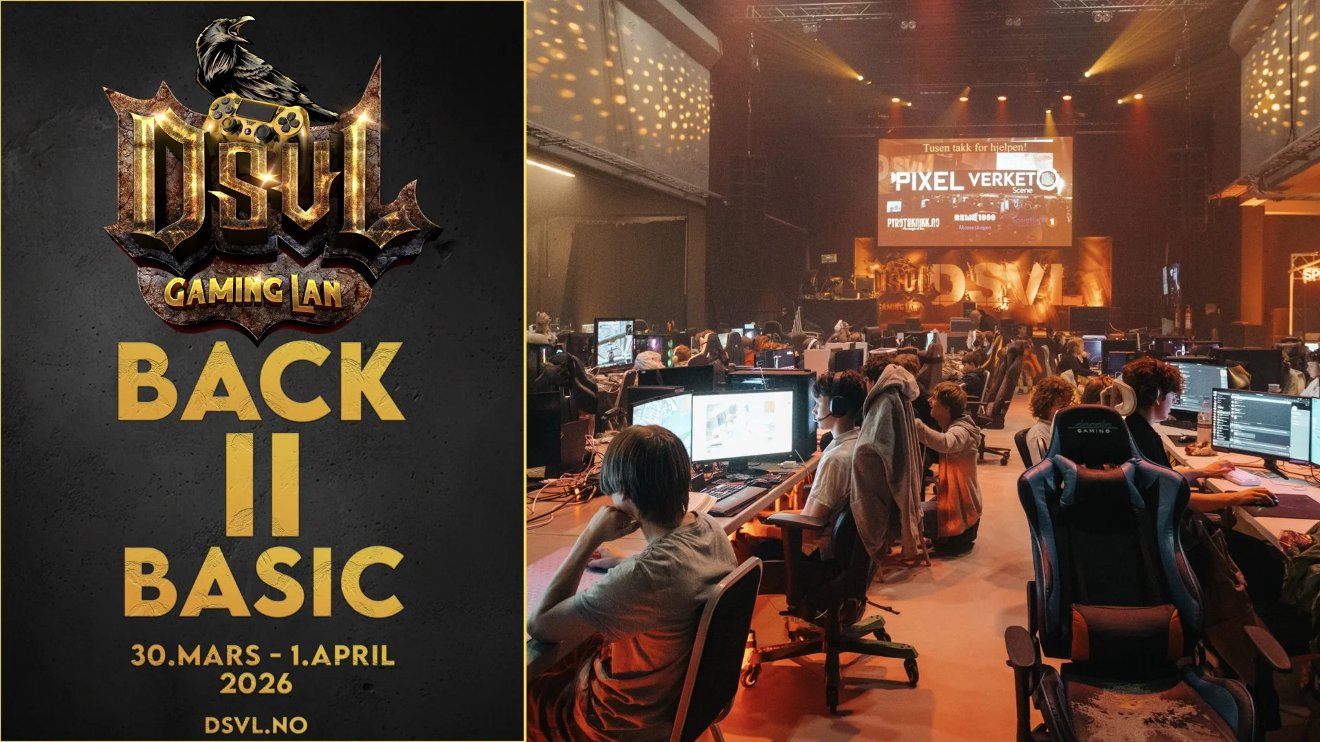 DSVL 11: BACK 2 BASIC