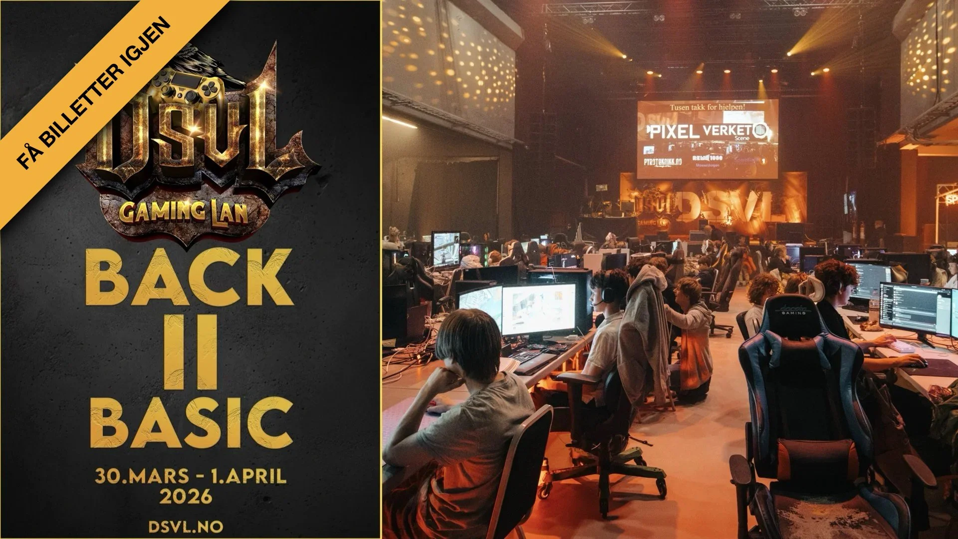 DSVL 11: BACK 2 BASIC