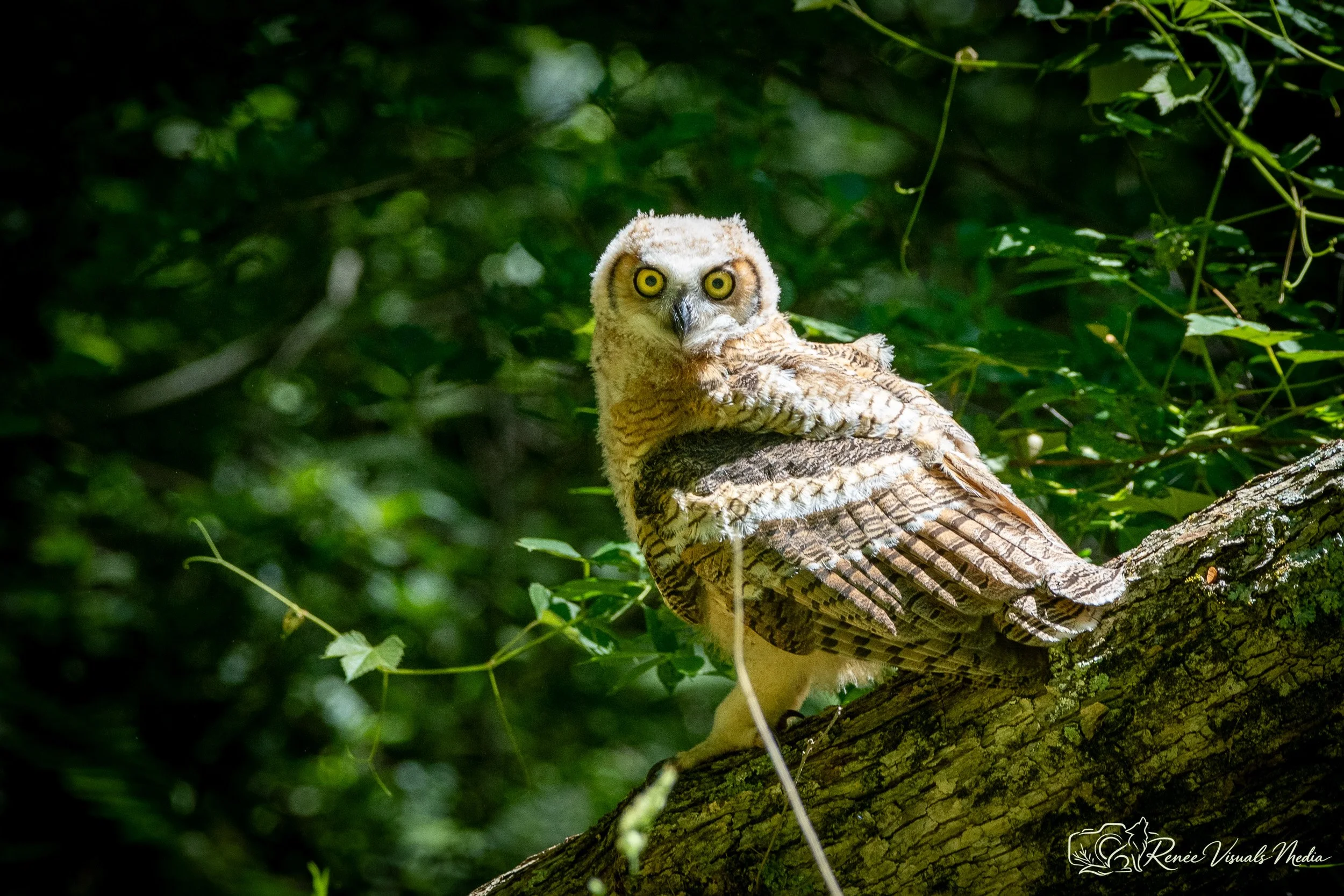 DSC_2470.jpg