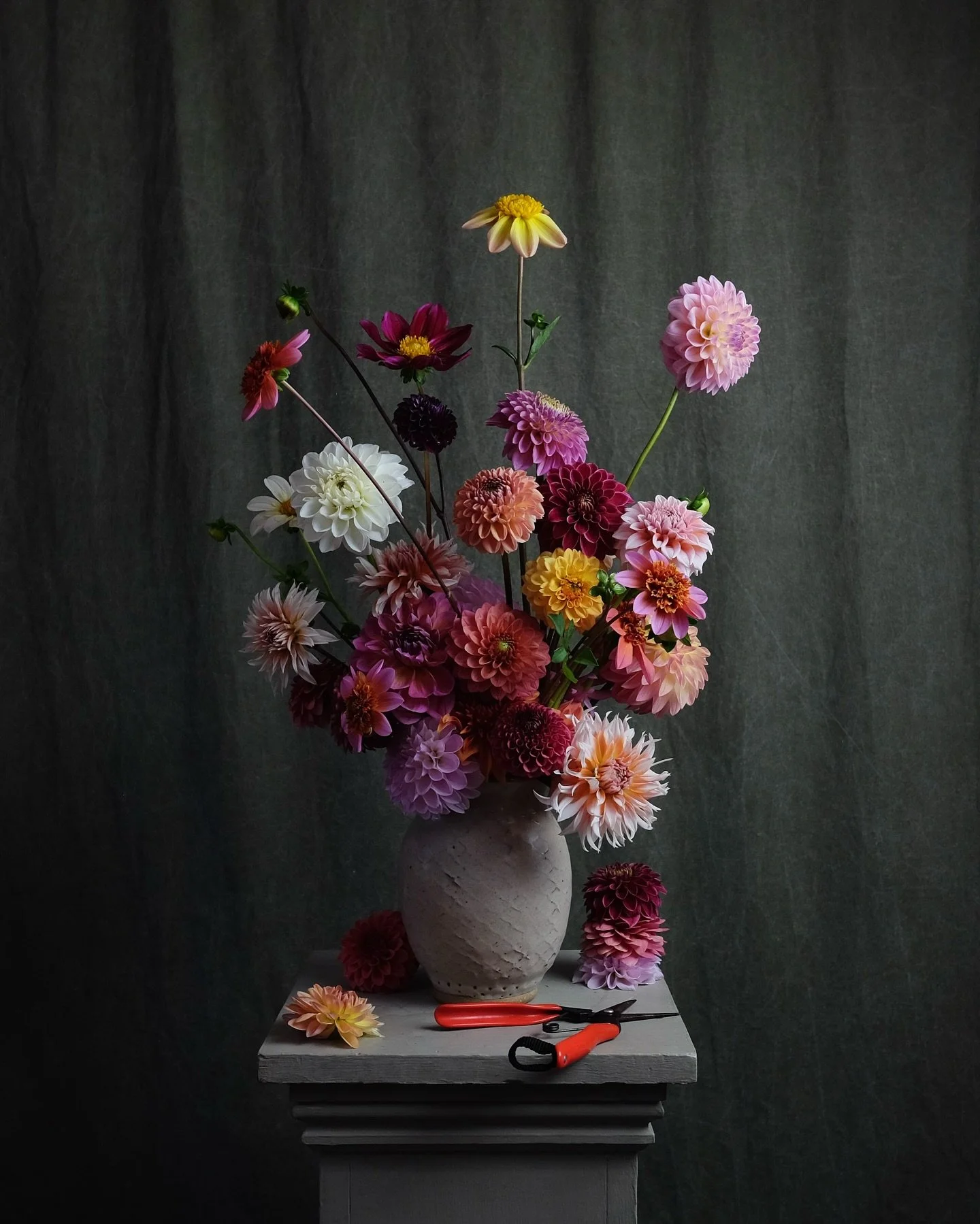 Oh dahlias! 

Years of meticulous planning, planting, digging, dividing, sweating, labeling, collecting, storing, monitoring, studying, and stressing&hellip;. worth it all. #dahlias #dahliaseason