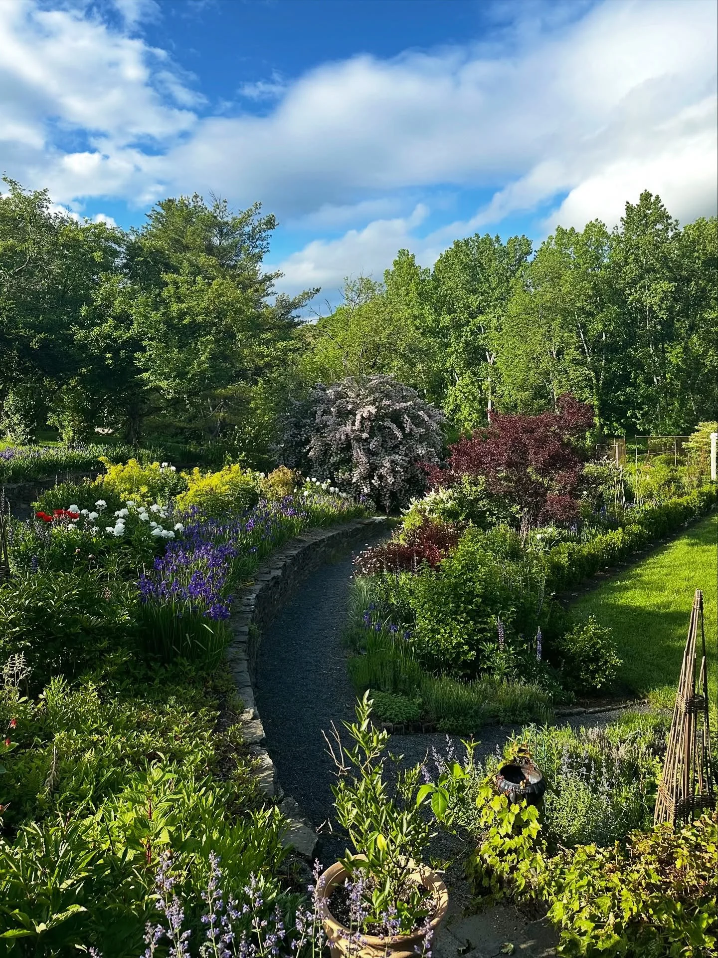 A crazy-beautiful and just plain crazy 2025 at Petal Creek.  Worked with some amazing clients, grew beautiful flowers, learned a lot, hopefully retained some knowledge, and just so grateful to everyone who dug in and made our year so special.  Cheers