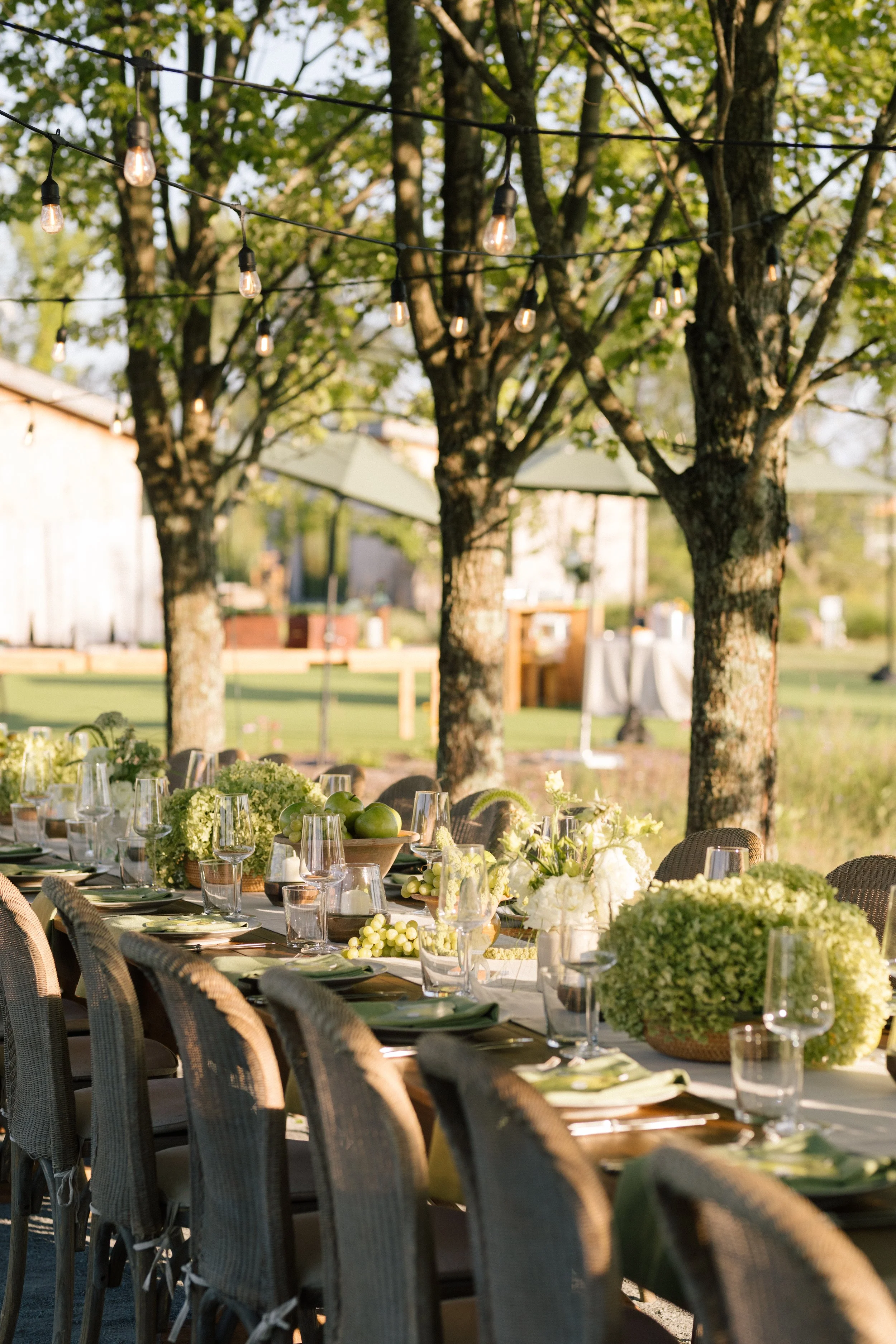 Outdoor dining table set under string lights with trees in the background, decorated with flowers, green apples, and glassware, during daytime.