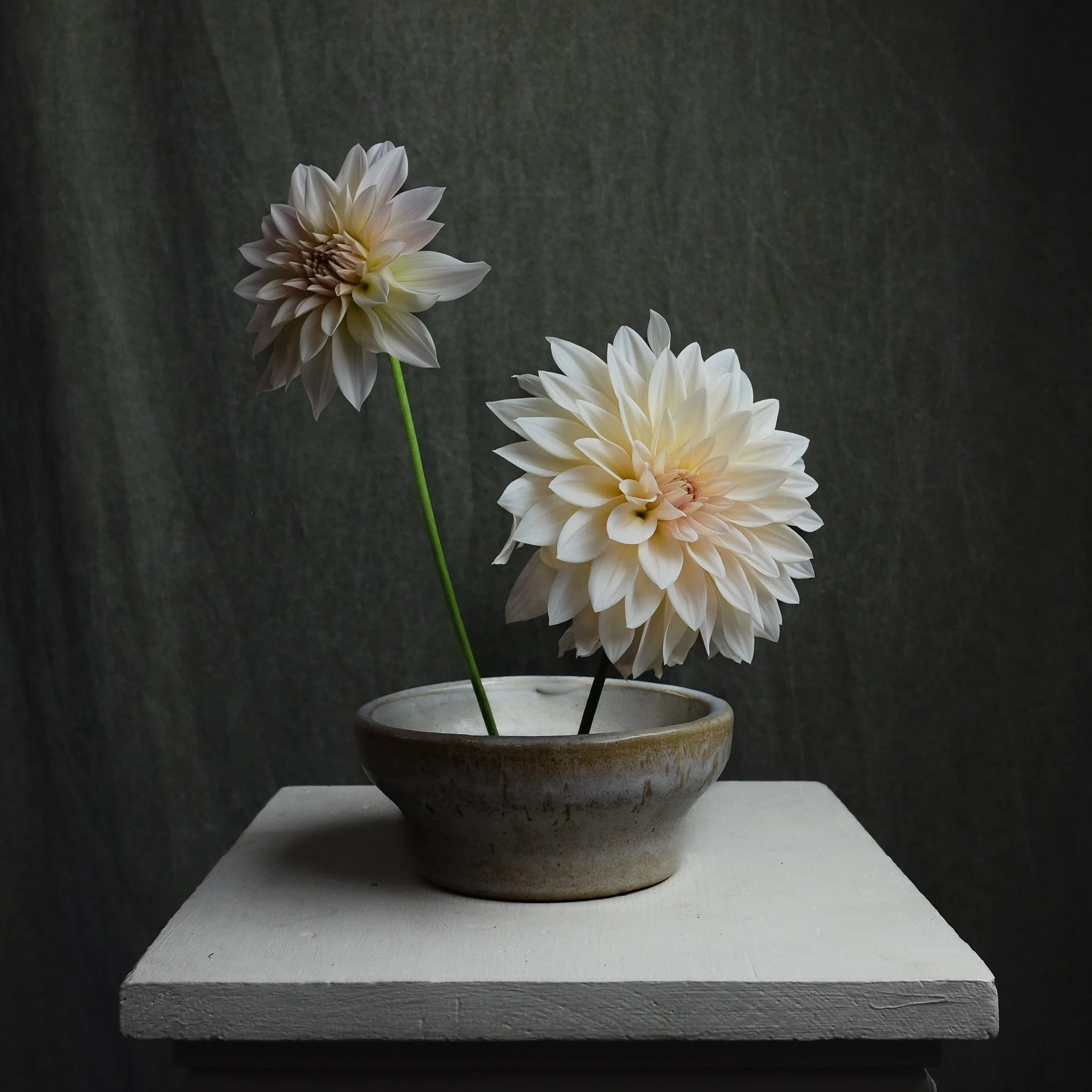 Cafe au Lait Mini.jpg