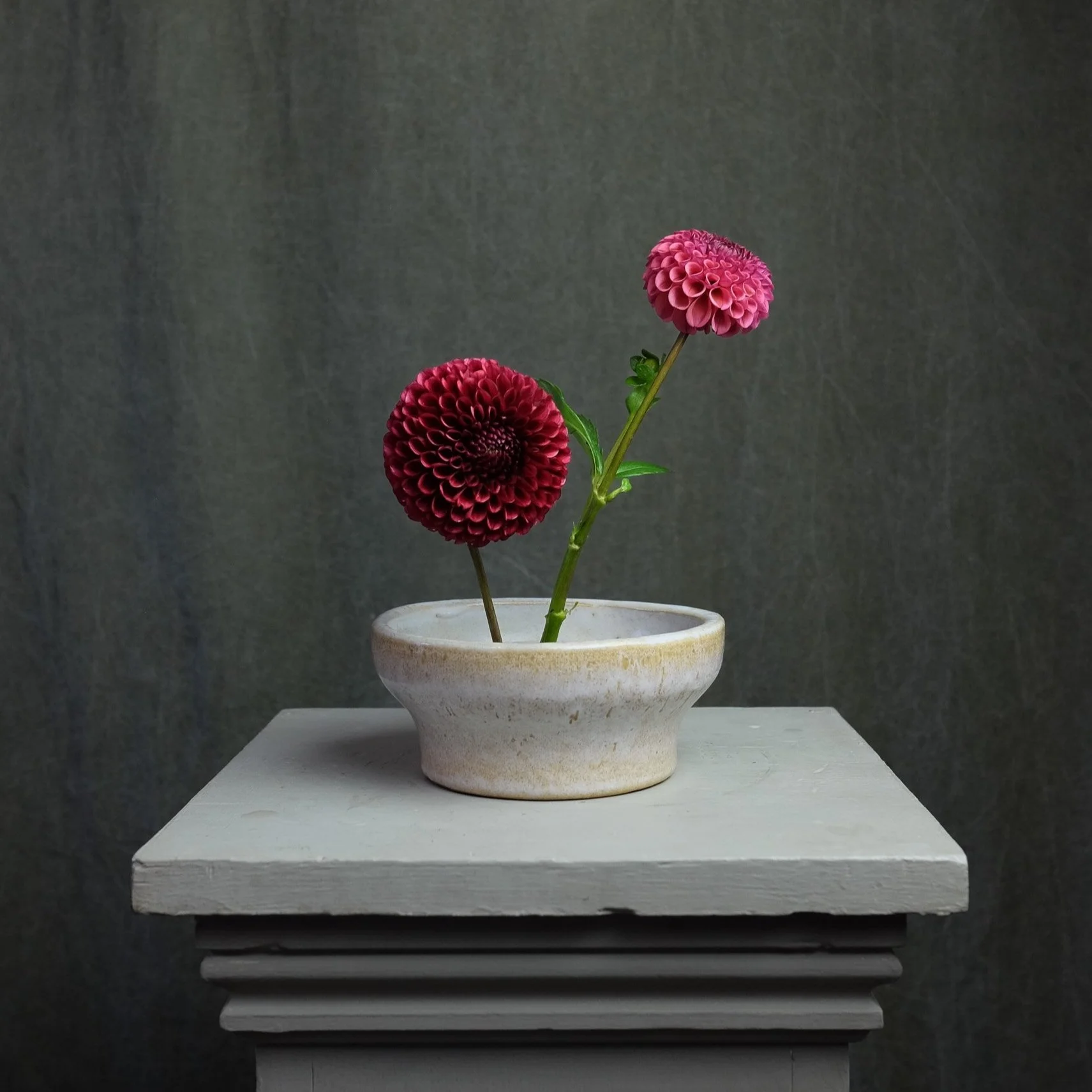 copper boy dahlia