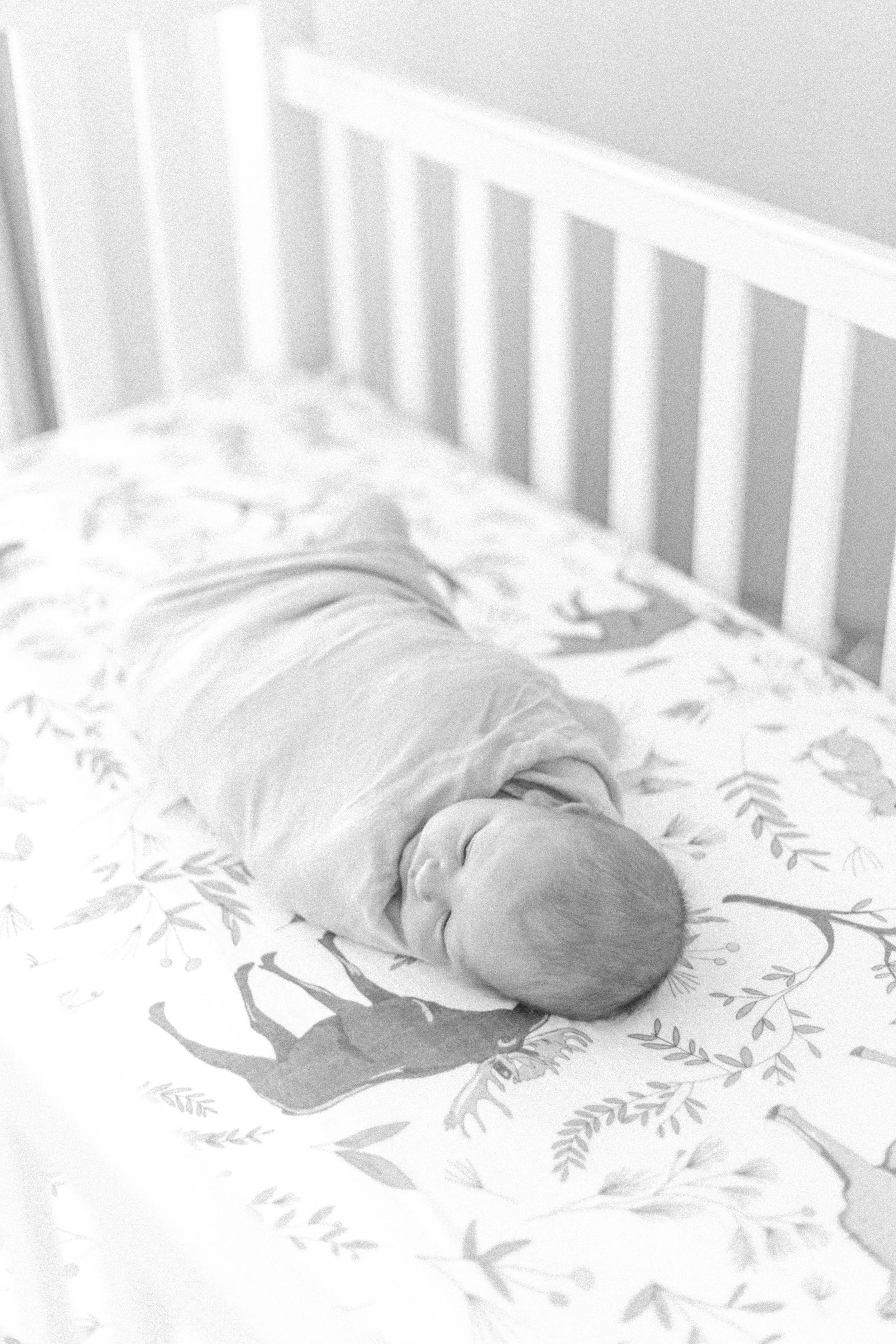 Liam Johnston [Newborn] (76 of 203).jpg