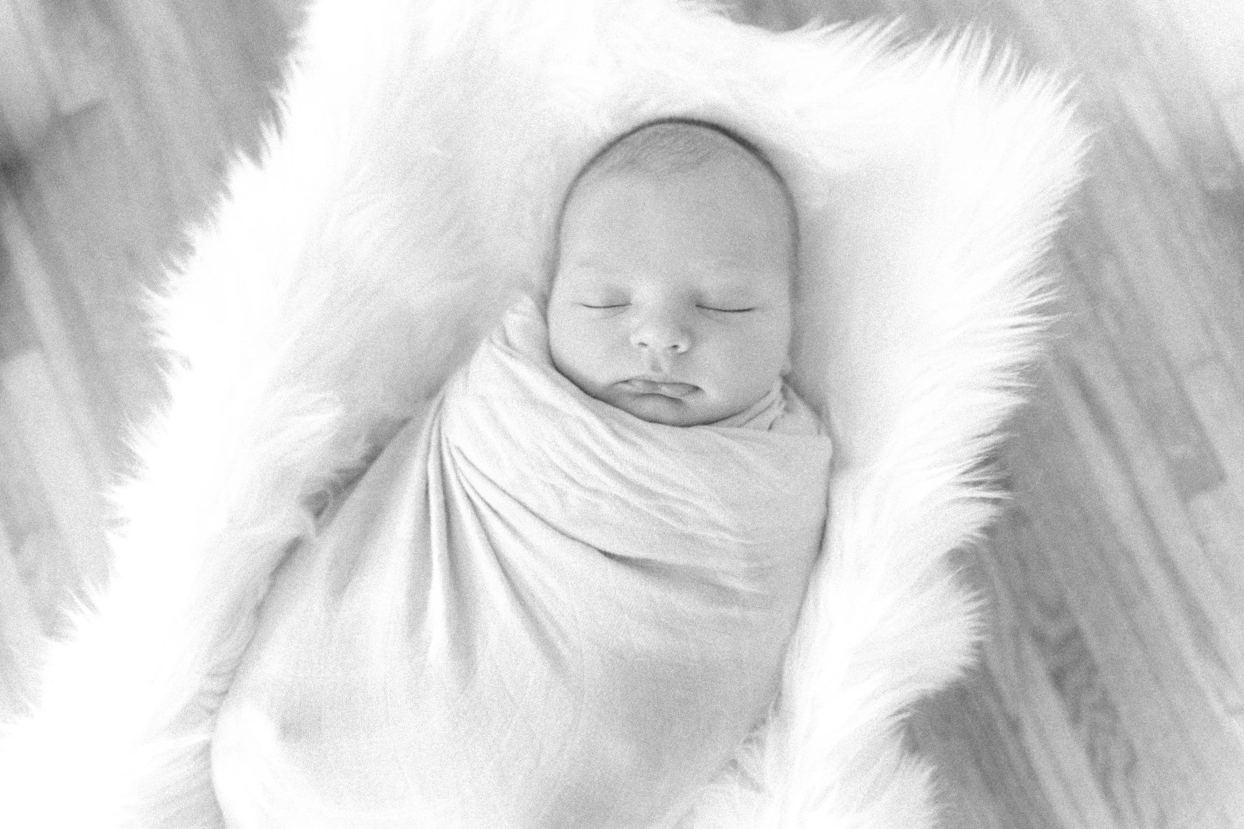 Liam Johnston [Newborn] (197 of 203).jpg
