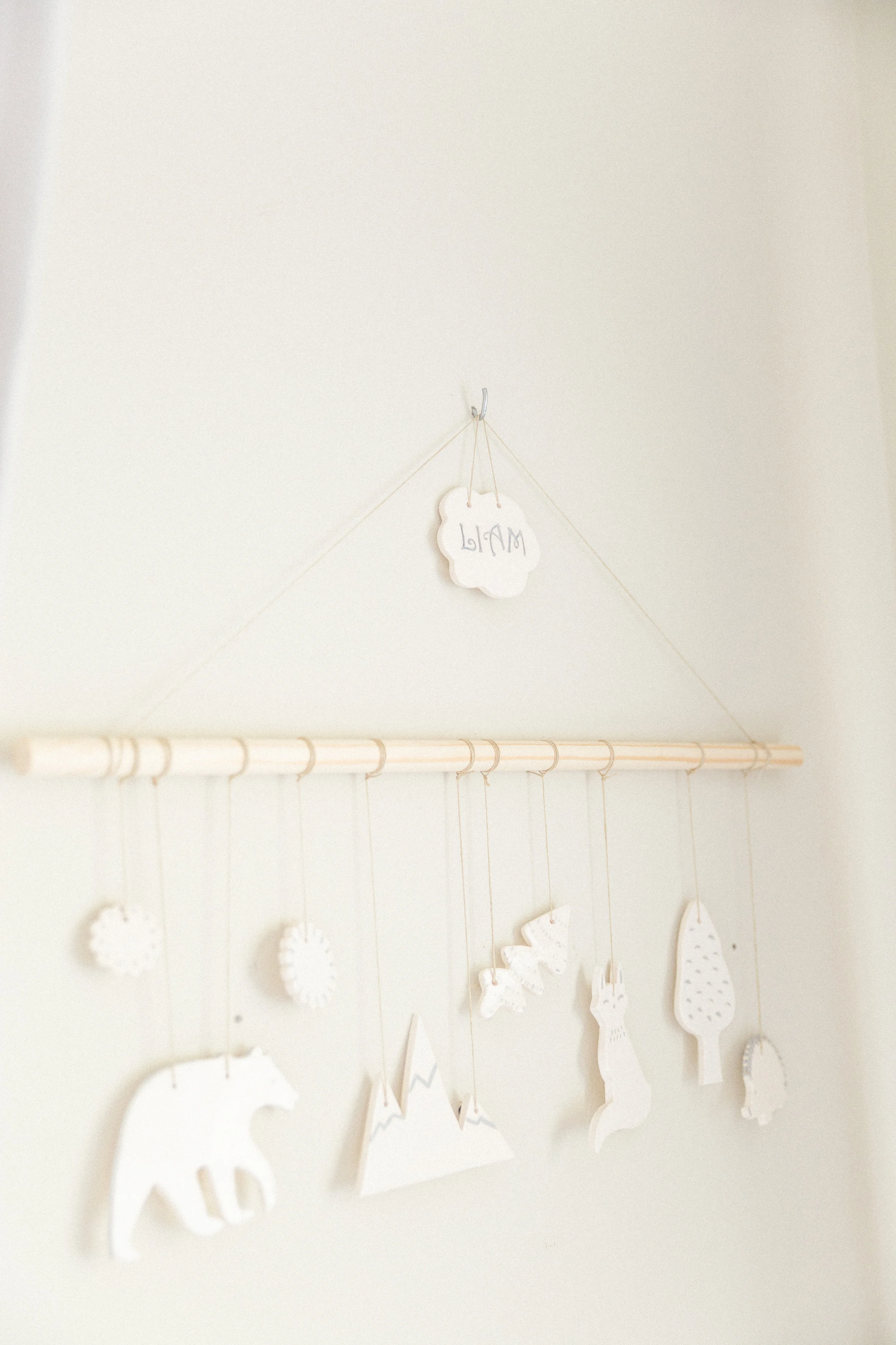 Liam Johnston [Newborn] (172 of 203).jpg