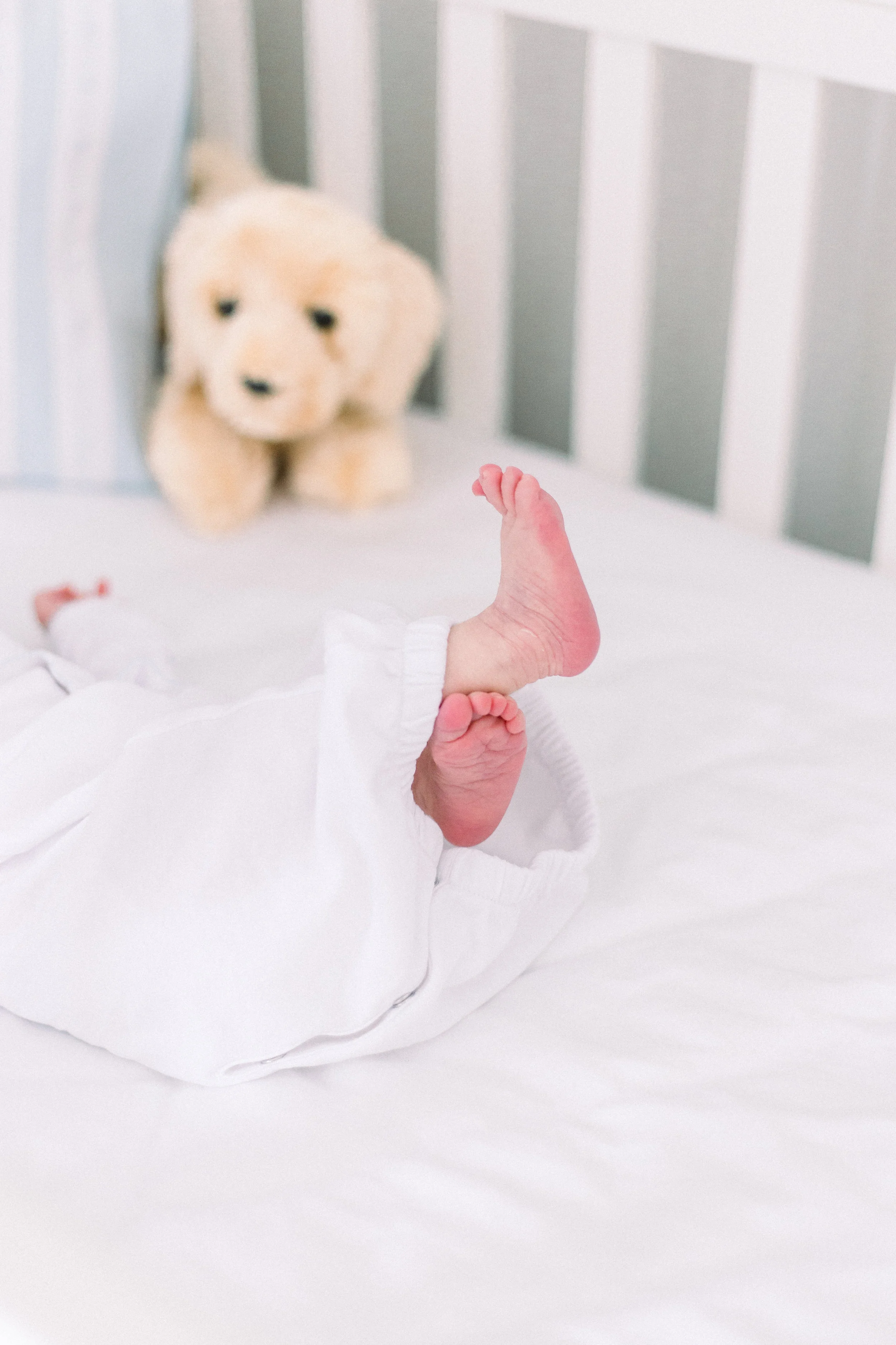 Scott[Newborn](39of303).jpg