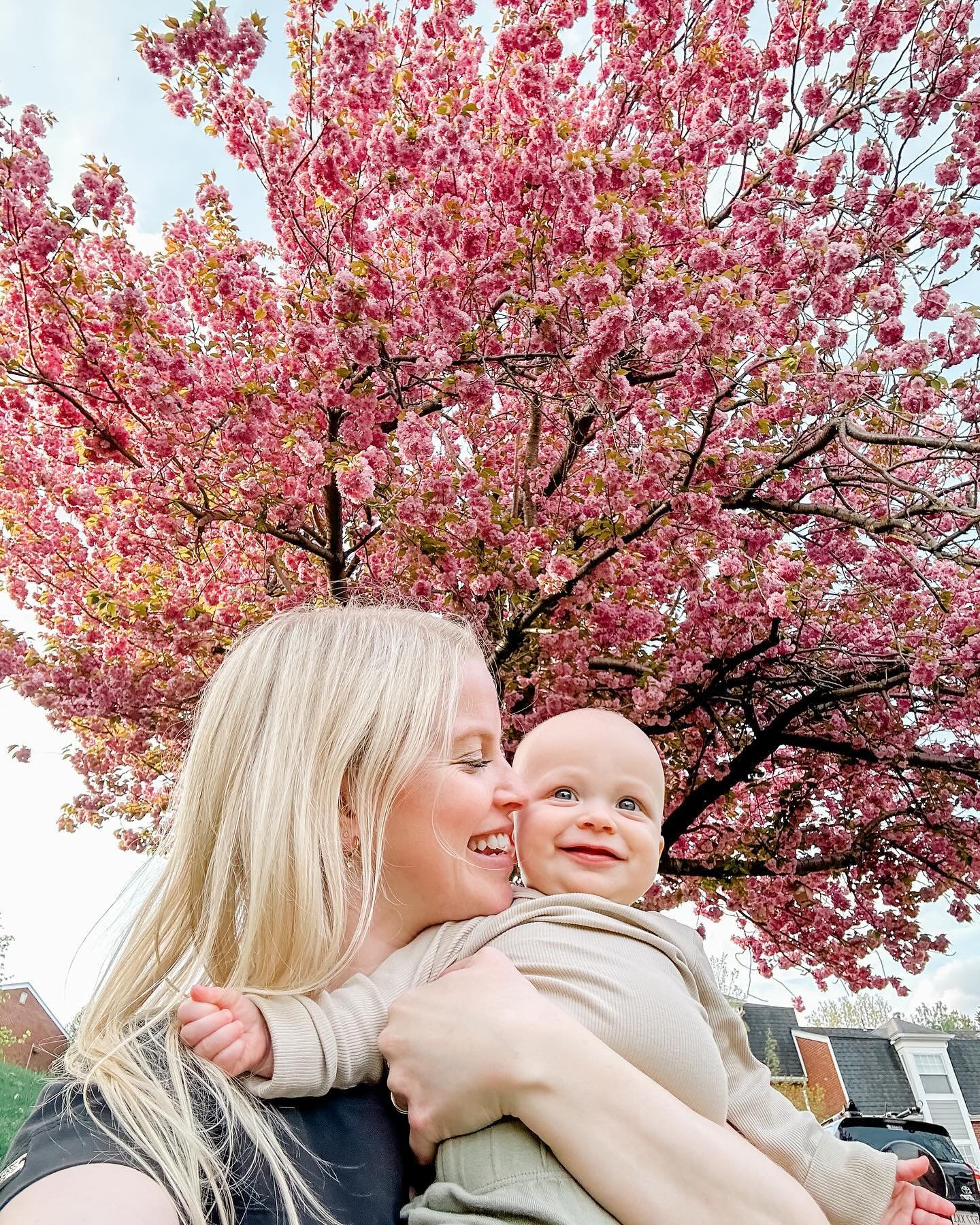 Favorite tree 🩷🌸