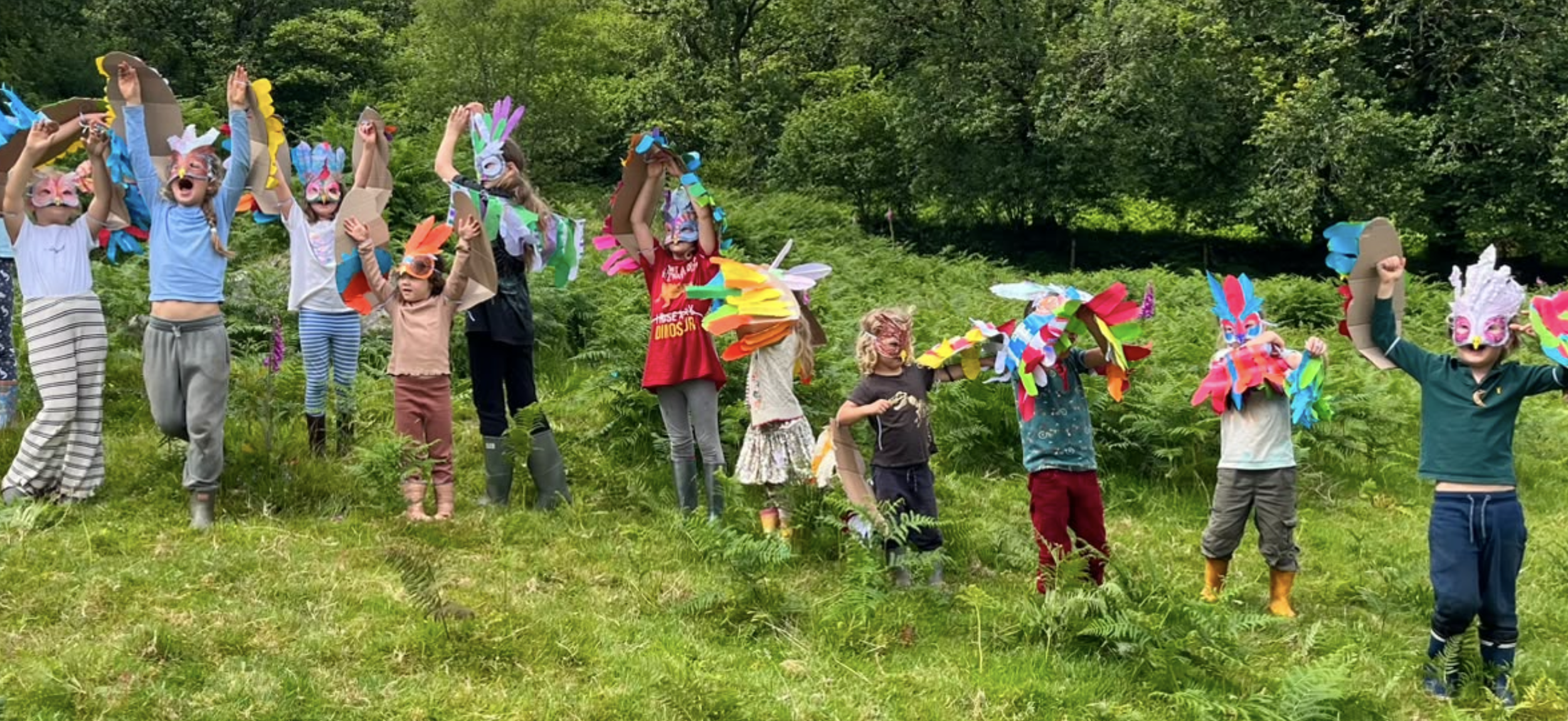 Birds, feathers and the Summer Solstice