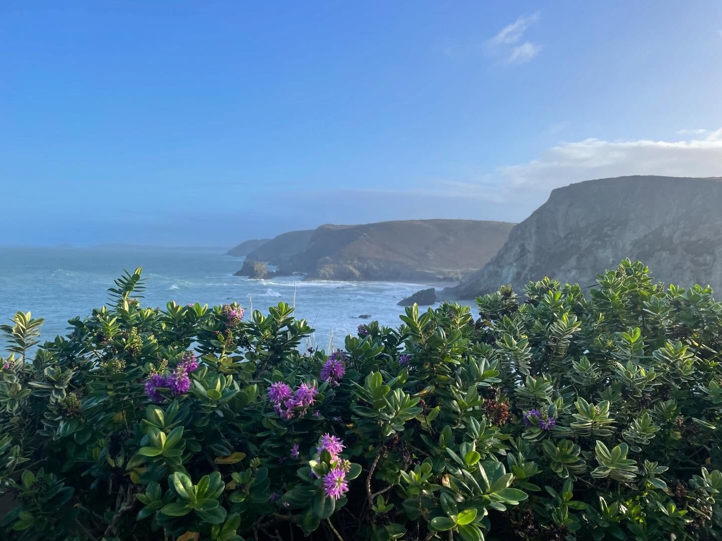 Sometimes the most intricate, moving, unrepeatable piece of art is happening on the windscreen while I&rsquo;m stuck in traffic.

Or I&rsquo;m stood at the sink, hands soaped, just watching the sky rearrange itself through the window. Light shifting 