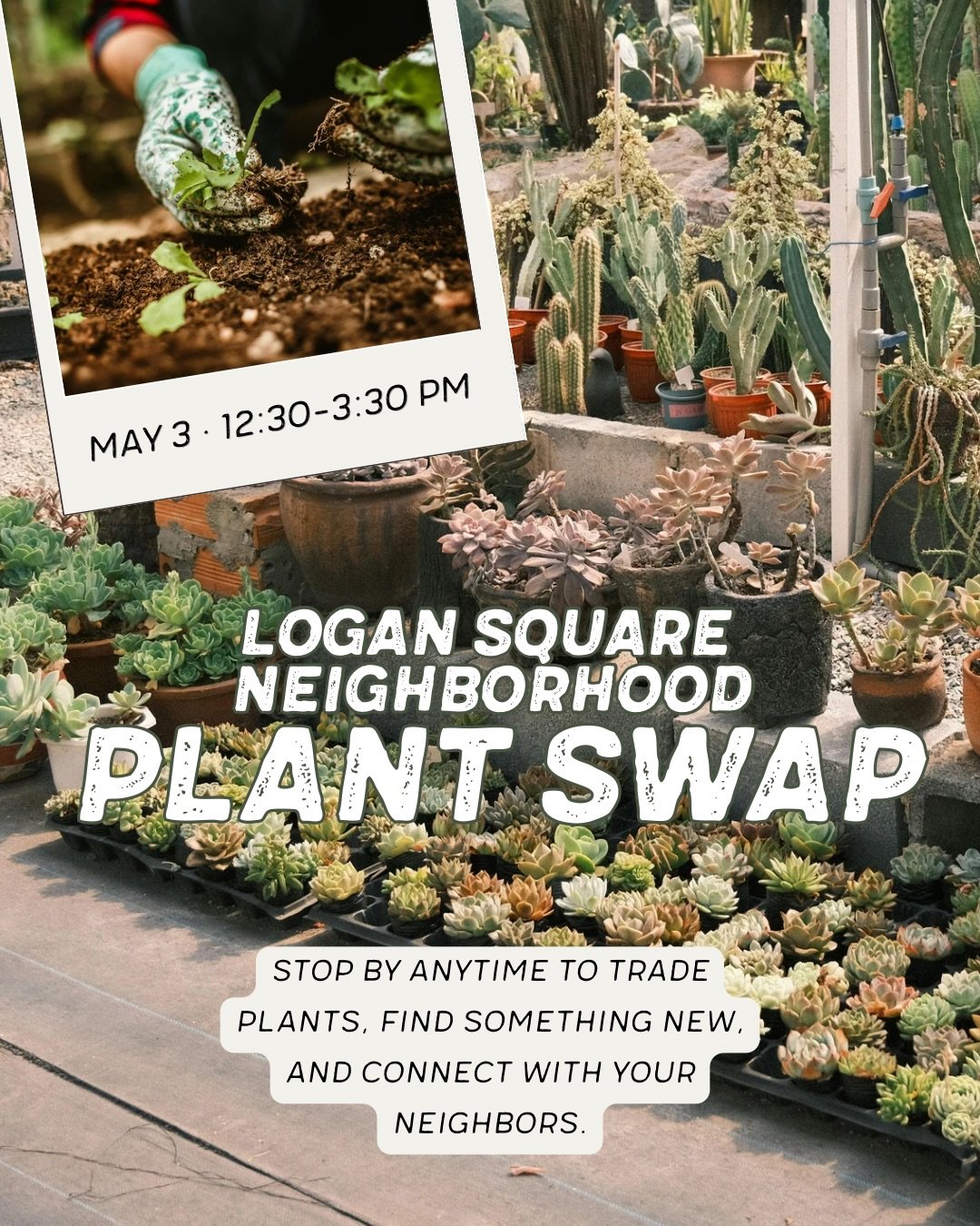 On May 3, we&rsquo;re hosting a free, all-ages plant swap in Logan Square! 🌱🌼🌈Bring a plant, a cutting, a packet of seeds, and take home anything you love, no one-to-one swaps required. Great things to bring: Houseplants no longer sparking joy in 