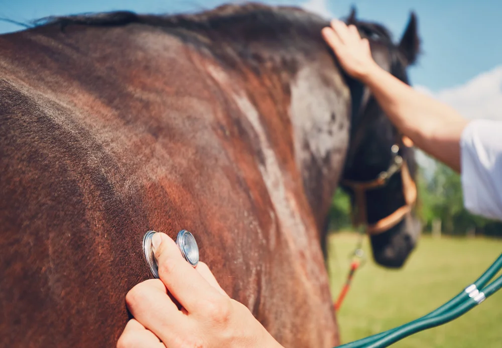 Washington County Vet Service — Tri State Vet Supply