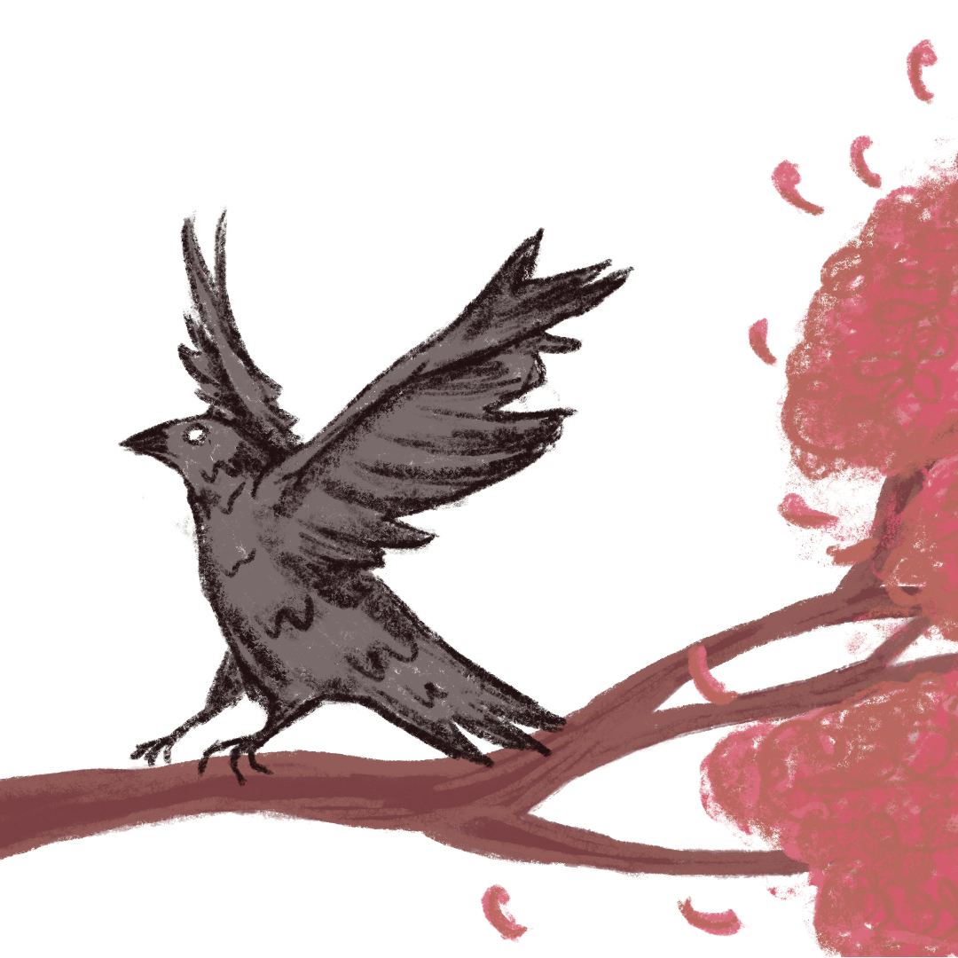 Motion Graphics & Videos