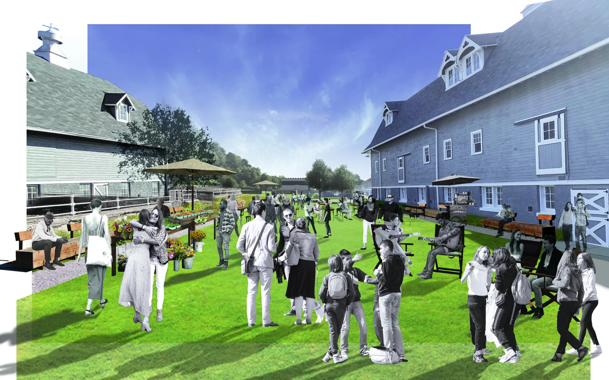 HORSESHOE BAY FARMS VISION + IMPLEMENTATION PLAN — TEN x TEN Landscape