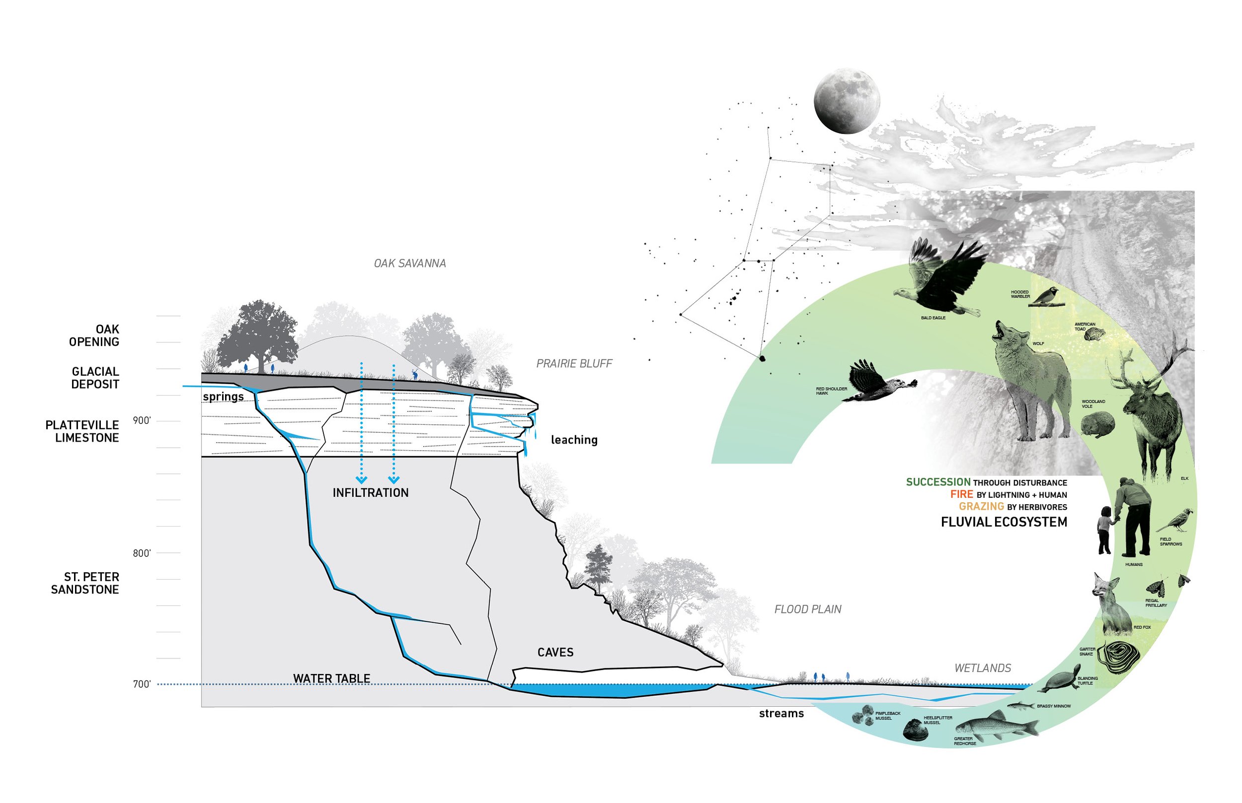 2019 04 16_Mitakuye Owasi_Bluff Section Diagram.jpg