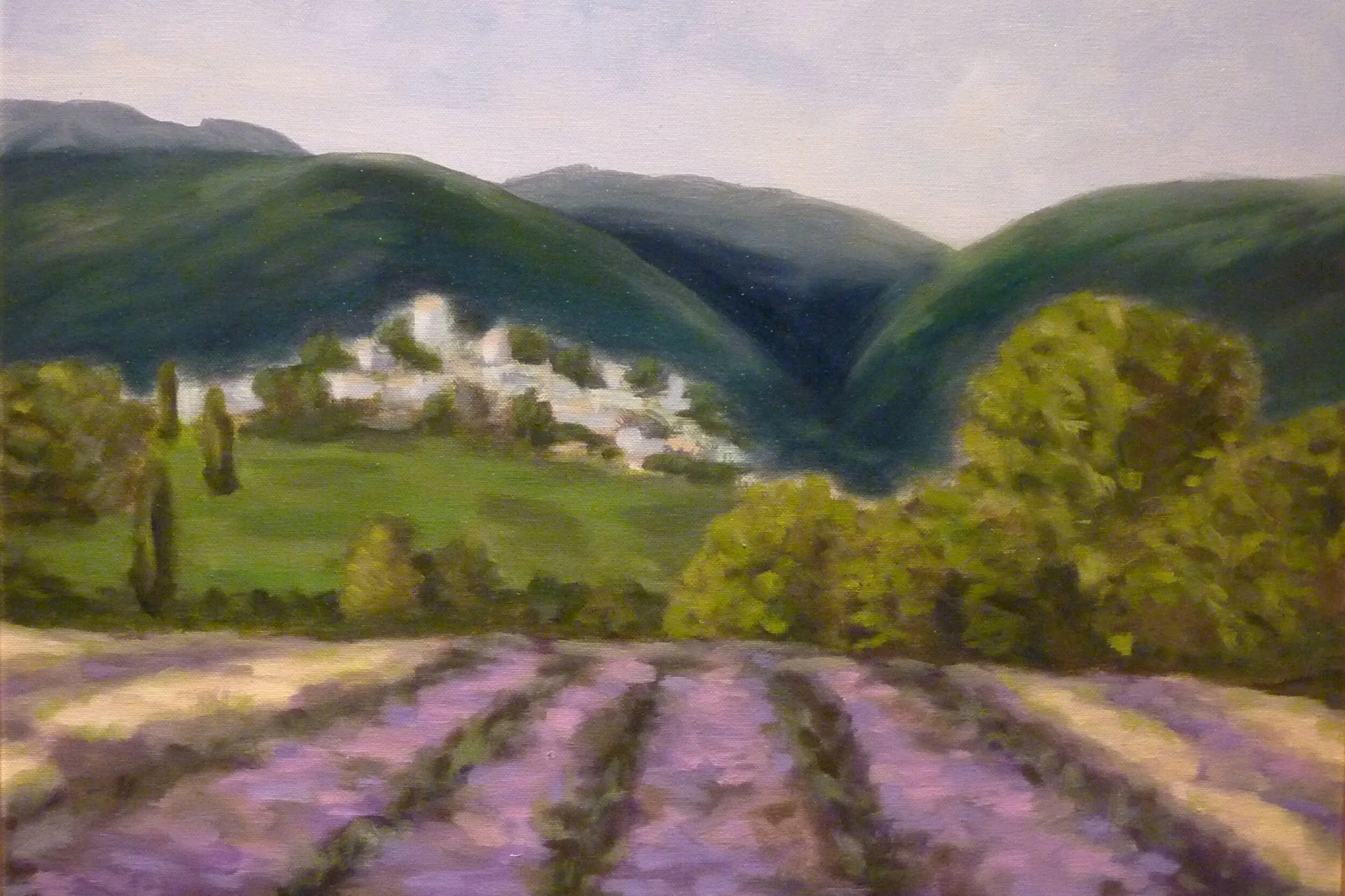 "French lavender", oil on canvas, 14 x 16 in