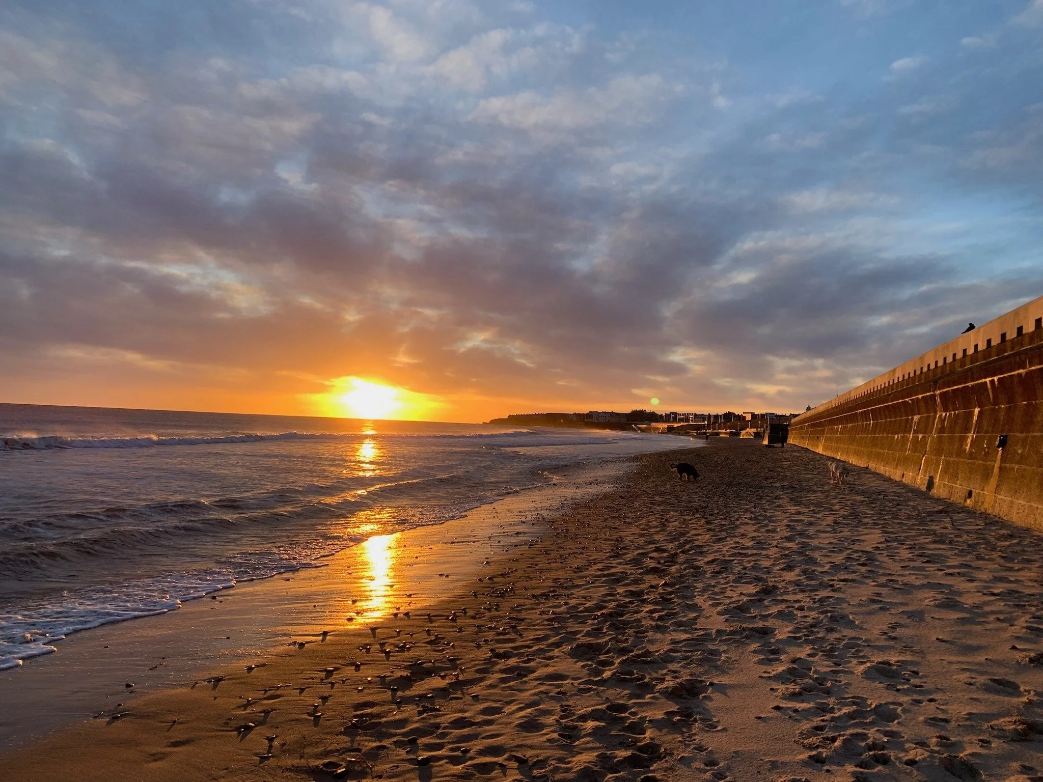 𝗦𝘁𝗼𝗽 𝘀𝗰𝗿𝗼𝗹𝗹𝗶𝗻𝗴 - 𝘆𝗼𝘂'𝘃𝗲 𝗿𝗲𝗮𝗰𝗵𝗲𝗱 𝘆𝗼𝘂𝗿 𝗠𝗼𝗻𝗱𝗮𝘆 𝗠𝗲𝗻𝘁𝗮𝗹 𝗙𝗶𝘁𝗻𝗲𝘀𝘀 𝗖𝗵𝗲𝗰𝗸-𝗶𝗻 𝗽𝗼𝗶𝗻𝘁! 

My Polly Prescription for you all today is - on the surface - a simple one: slow down.

Now, I know we don't alwa