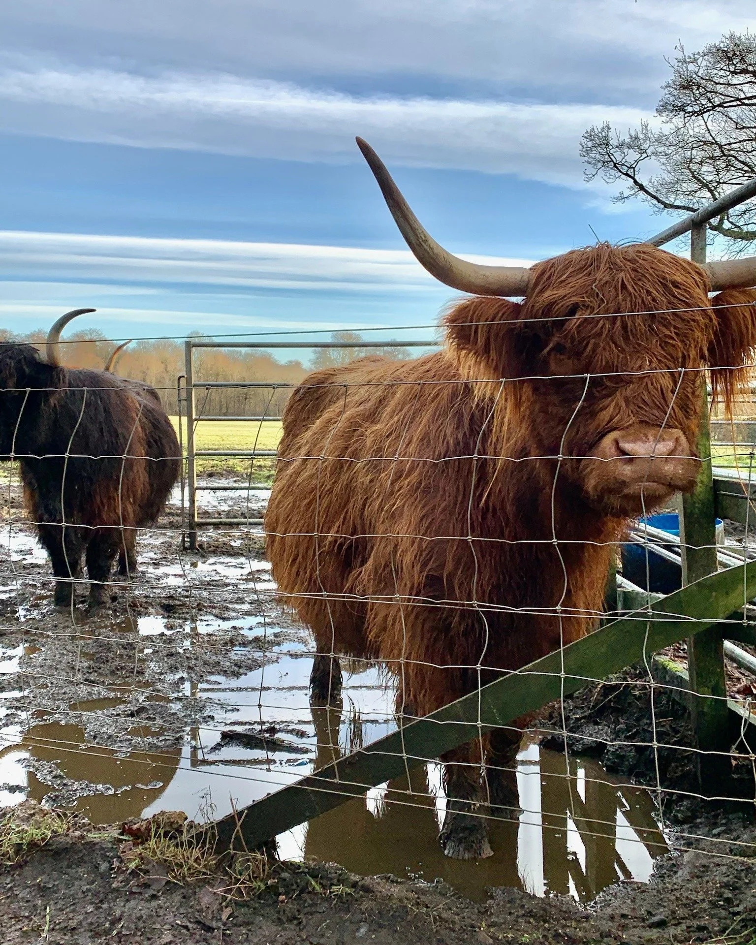 𝗣𝗶𝗻𝗰𝗵 𝗽𝘂𝗻𝗰𝗵, 𝗶𝘁'𝘀 𝘁𝗵𝗲 𝗳𝗶𝗿𝘀𝘁 𝗼𝗳 𝘁𝗵𝗲 𝗺𝗼𝗻𝘁𝗵! 

Here we are at the first day of a new month, the exciting turn of a new calendar page - and the very last one of the year! 

We'll only get December 2025 once and whilst we al