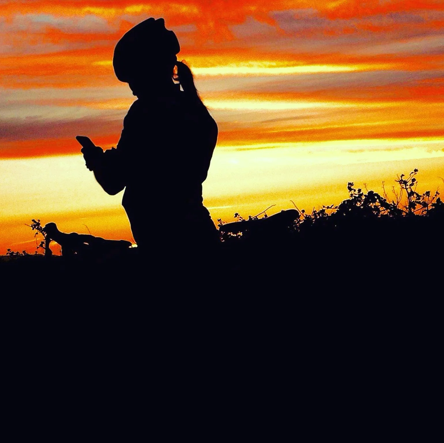 Polly is silhouetted against a bright orange sunset sky