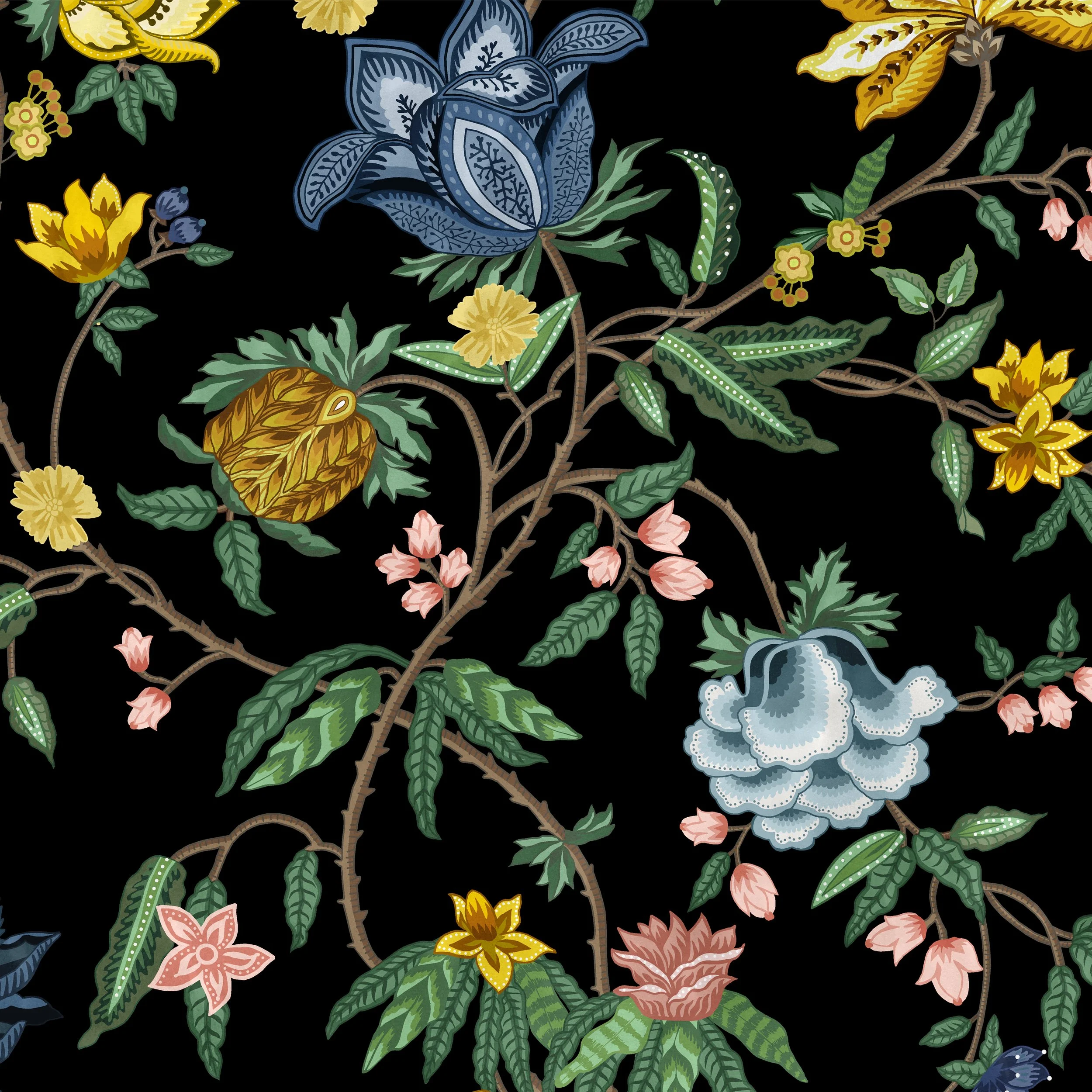 ASTER INDIENNE IN BLACK SANDS