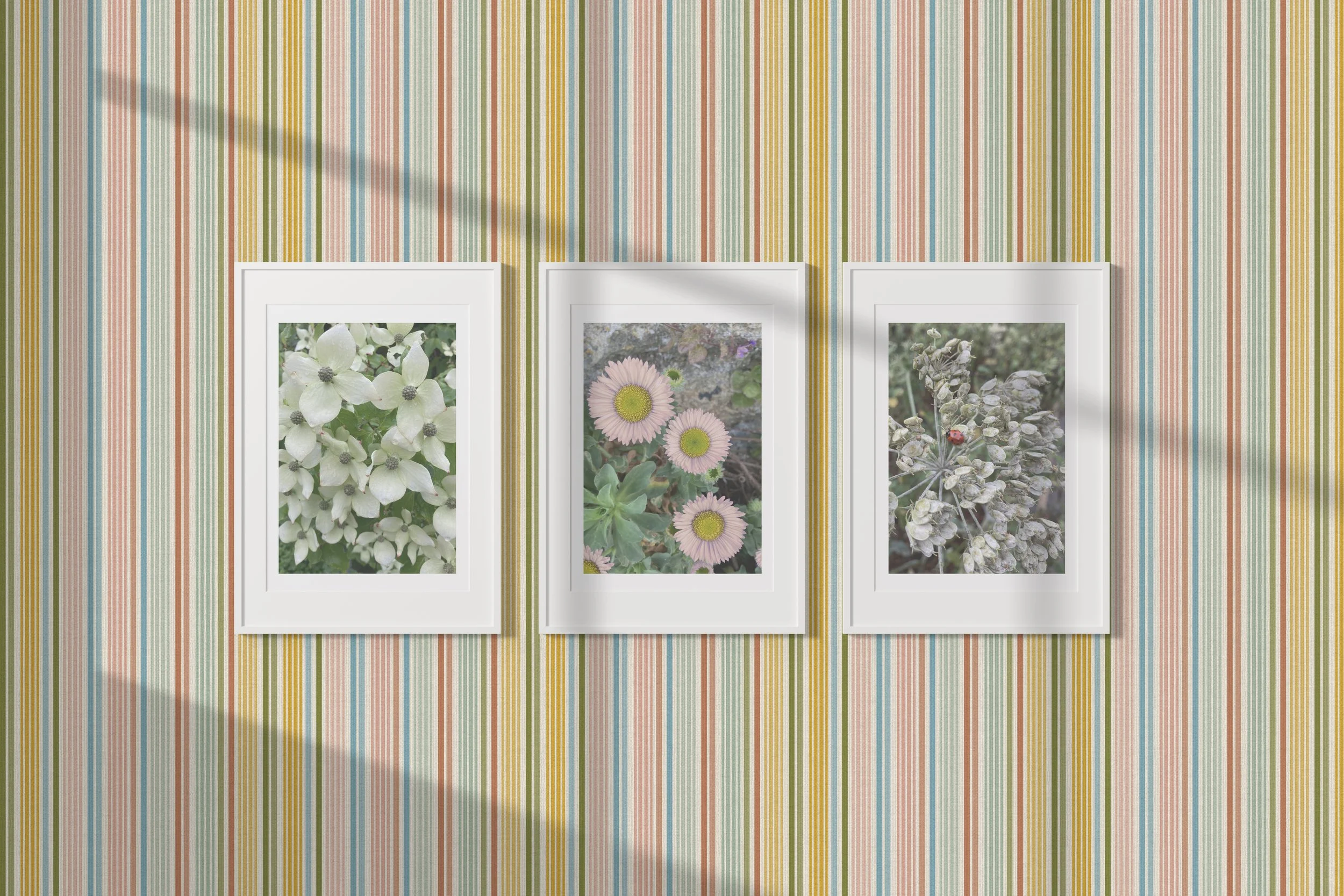 REMEMBER STRIPE IN MULTICOLOUR