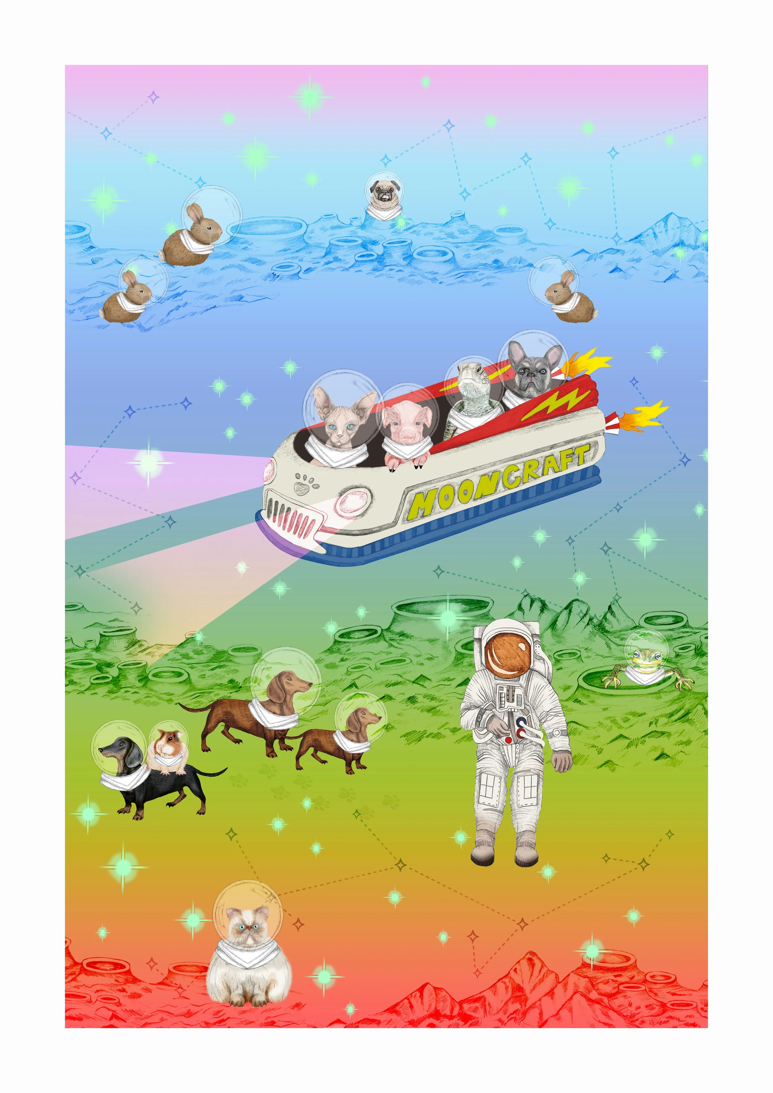 Space Paws Moon Craft