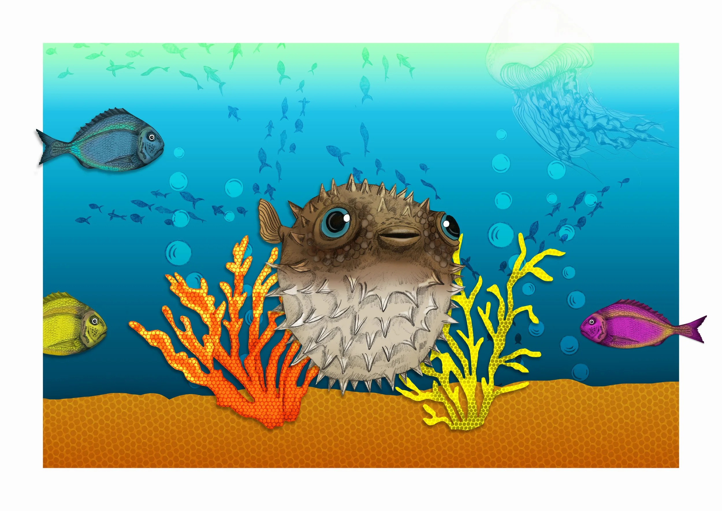 Puffer Fish
