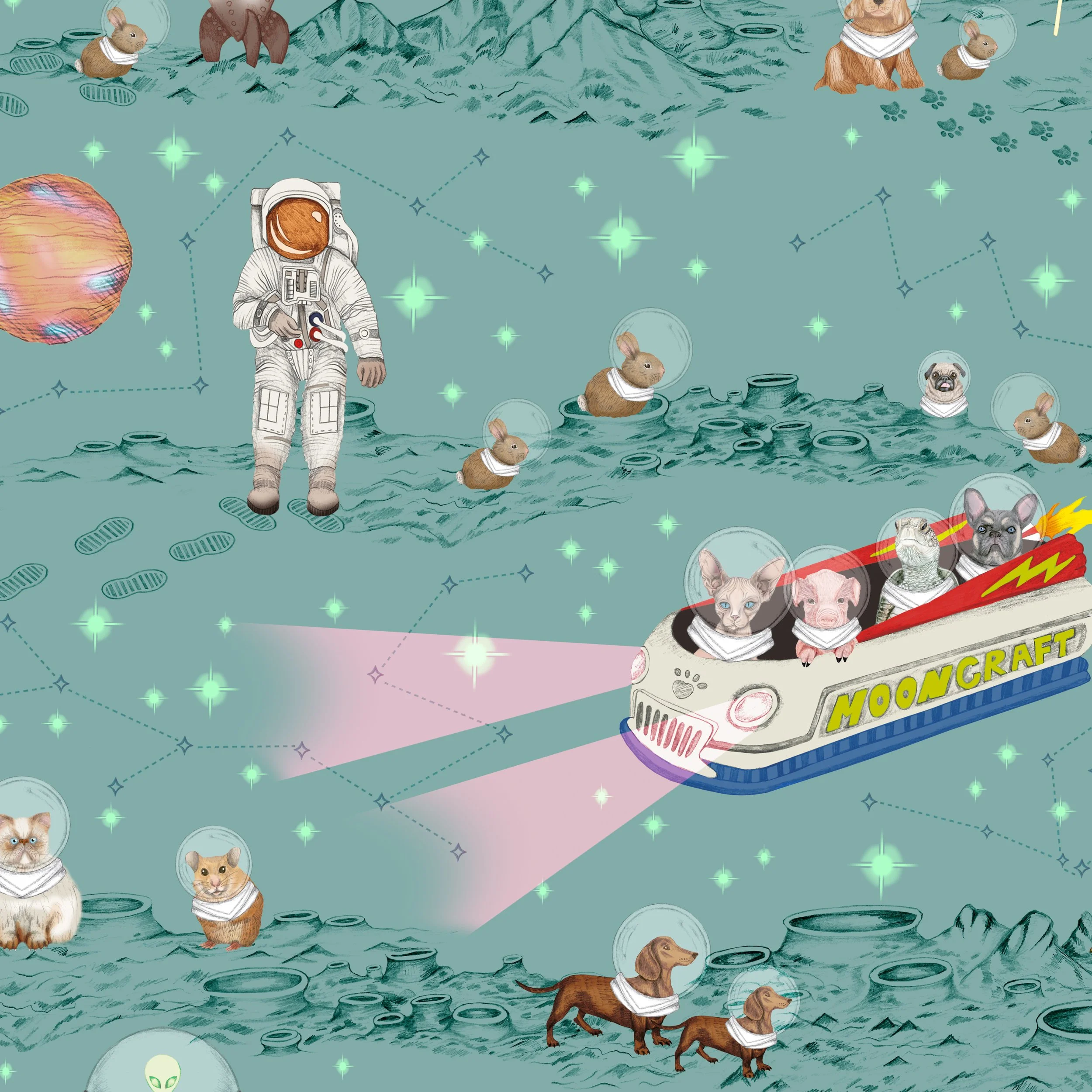 SPACE PAWS IN DUCK EGG