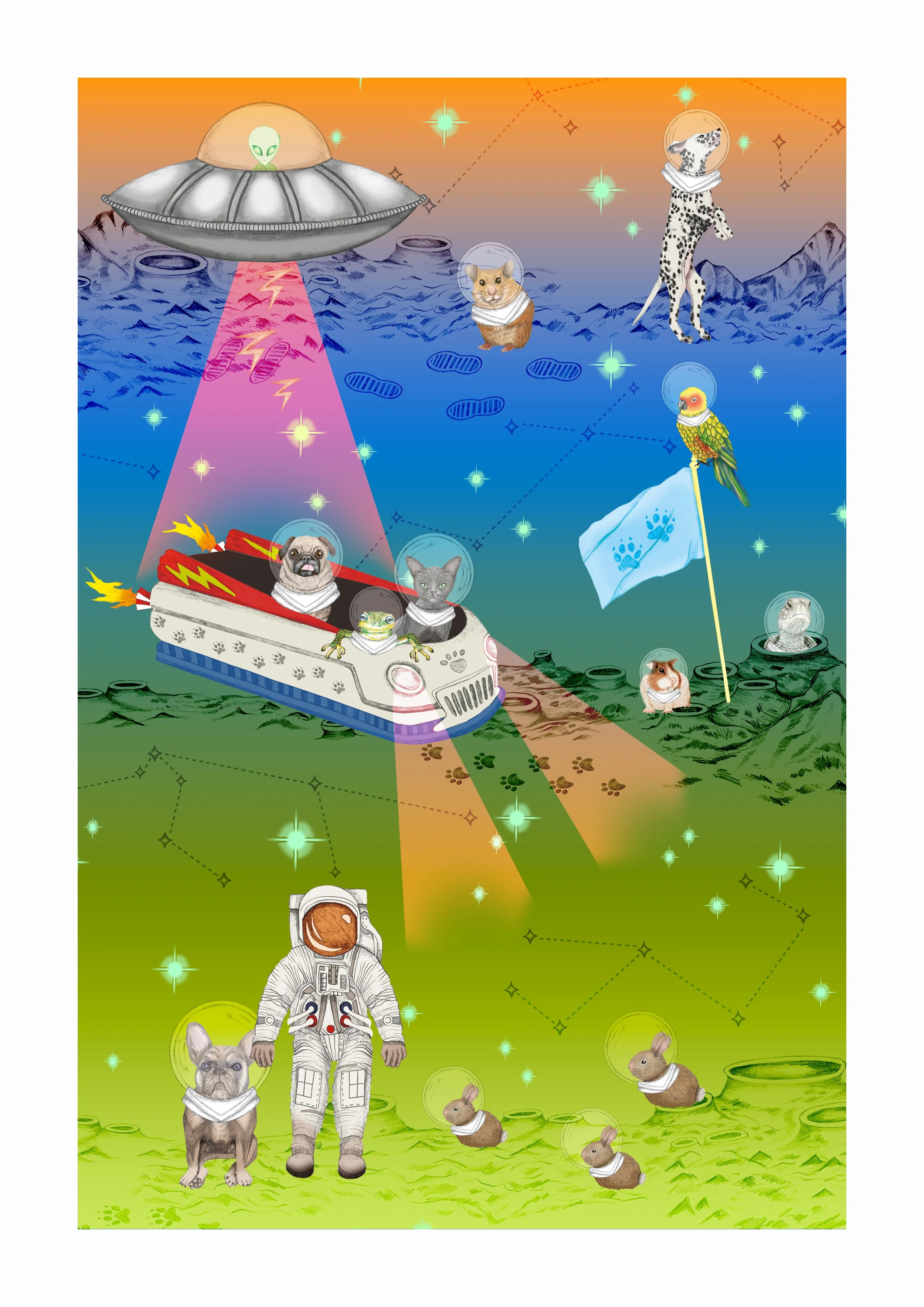 SPACE PAWS WALL ART 2.jpg